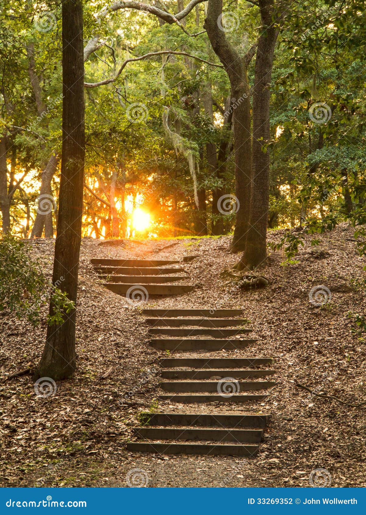 Treppe Durch Wald Stockfotografie - Bild: 33269352