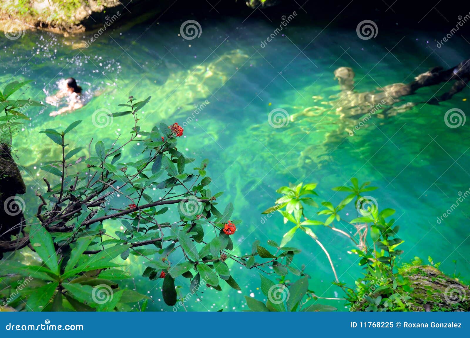 2019 year - How to Clean a Pond 2019 year