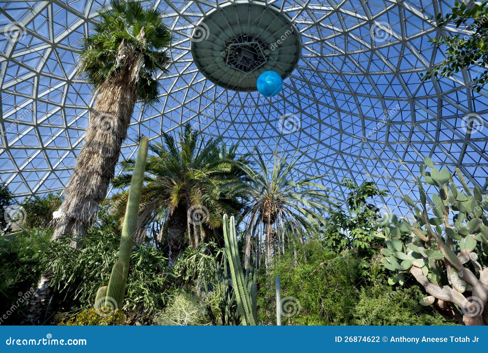 Tropical greenhouse with a geodesic dome glass greenhouse roof filled 