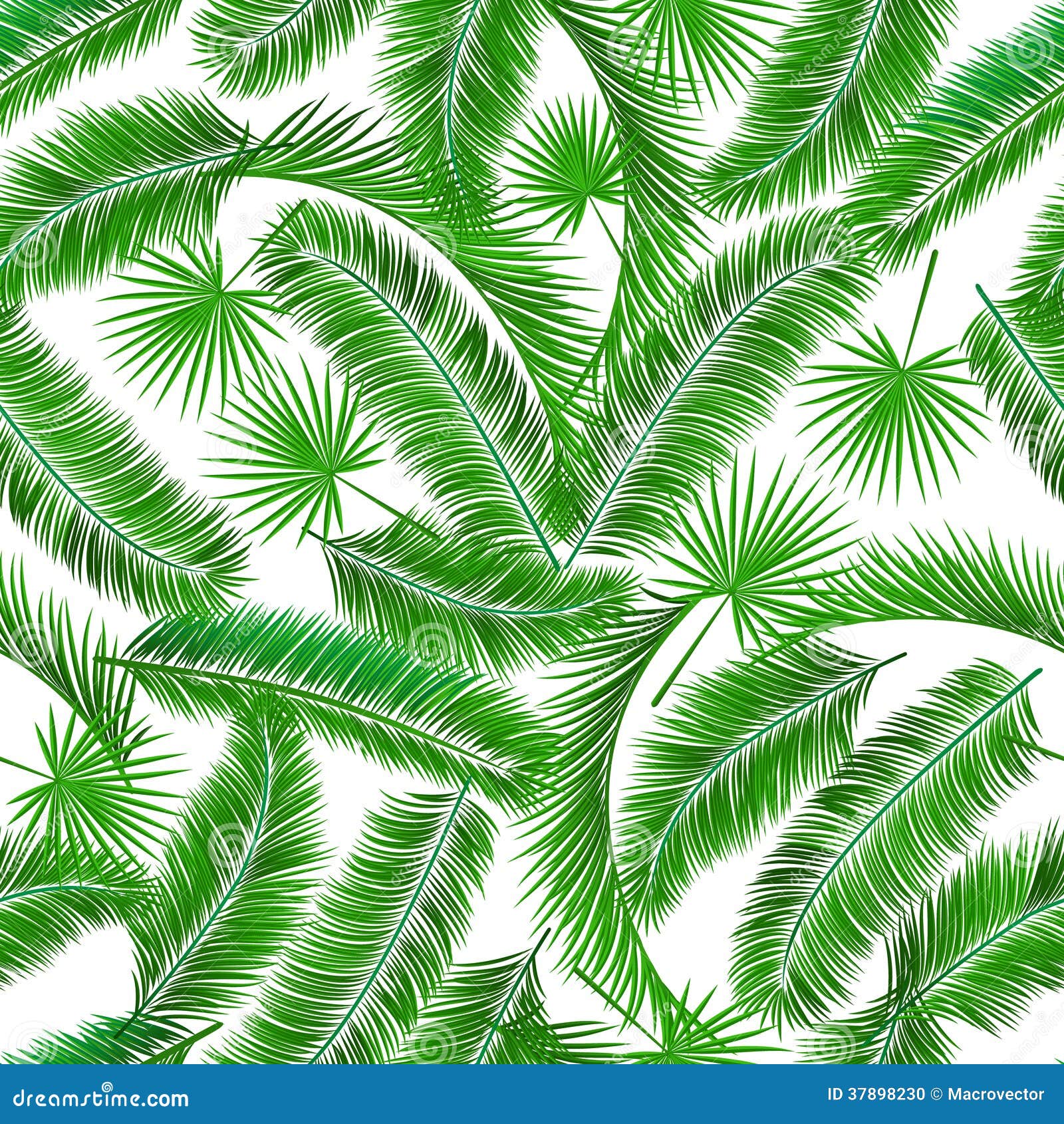 <strong>Date palm</strong> - <strong>Wikipedia</strong> Palm tree leaves template
