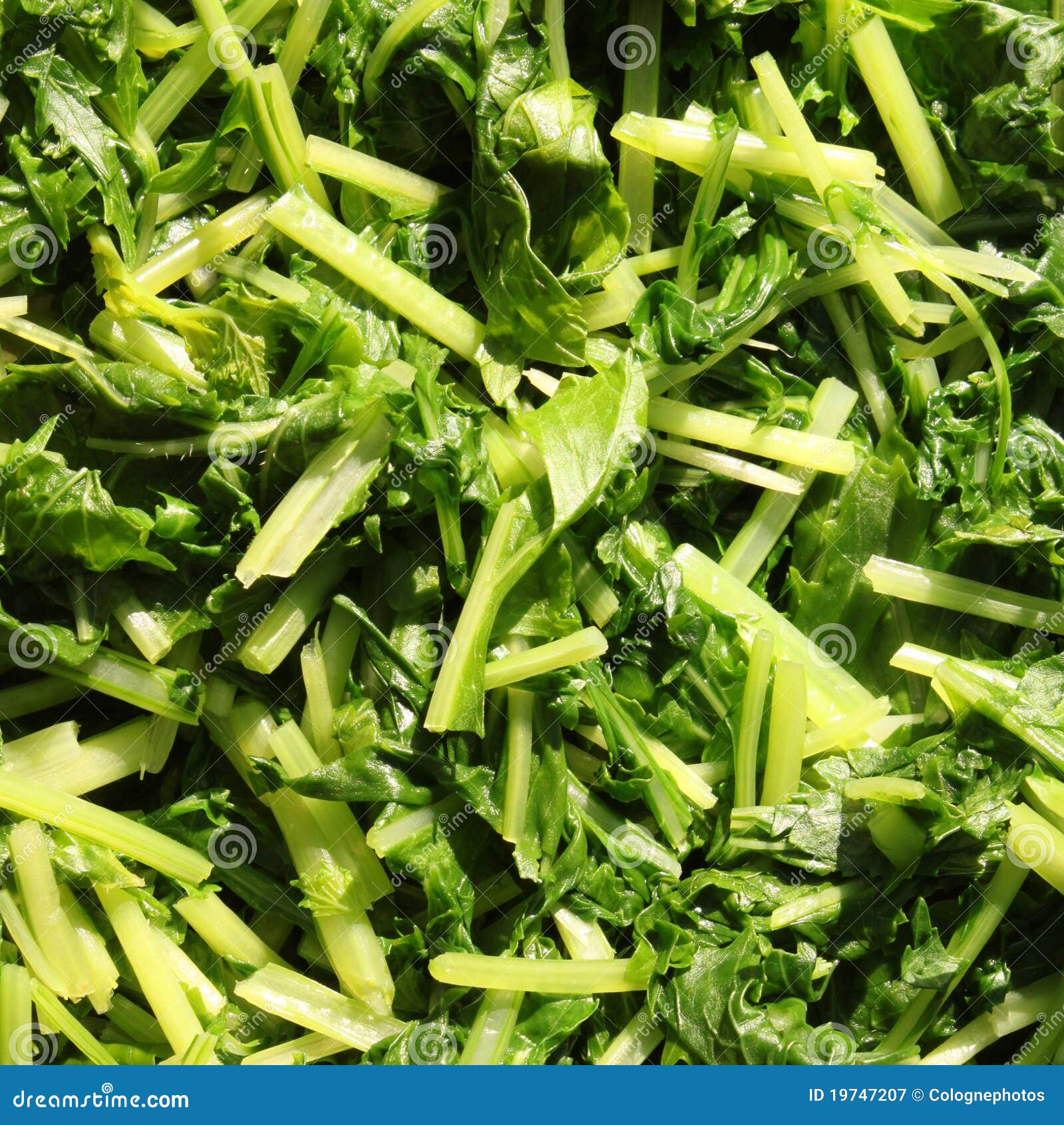 Blanched (cooked) turnip leaves - a delicious German dish. Blanched (cooked) turnip leaves - a delicious German dish.