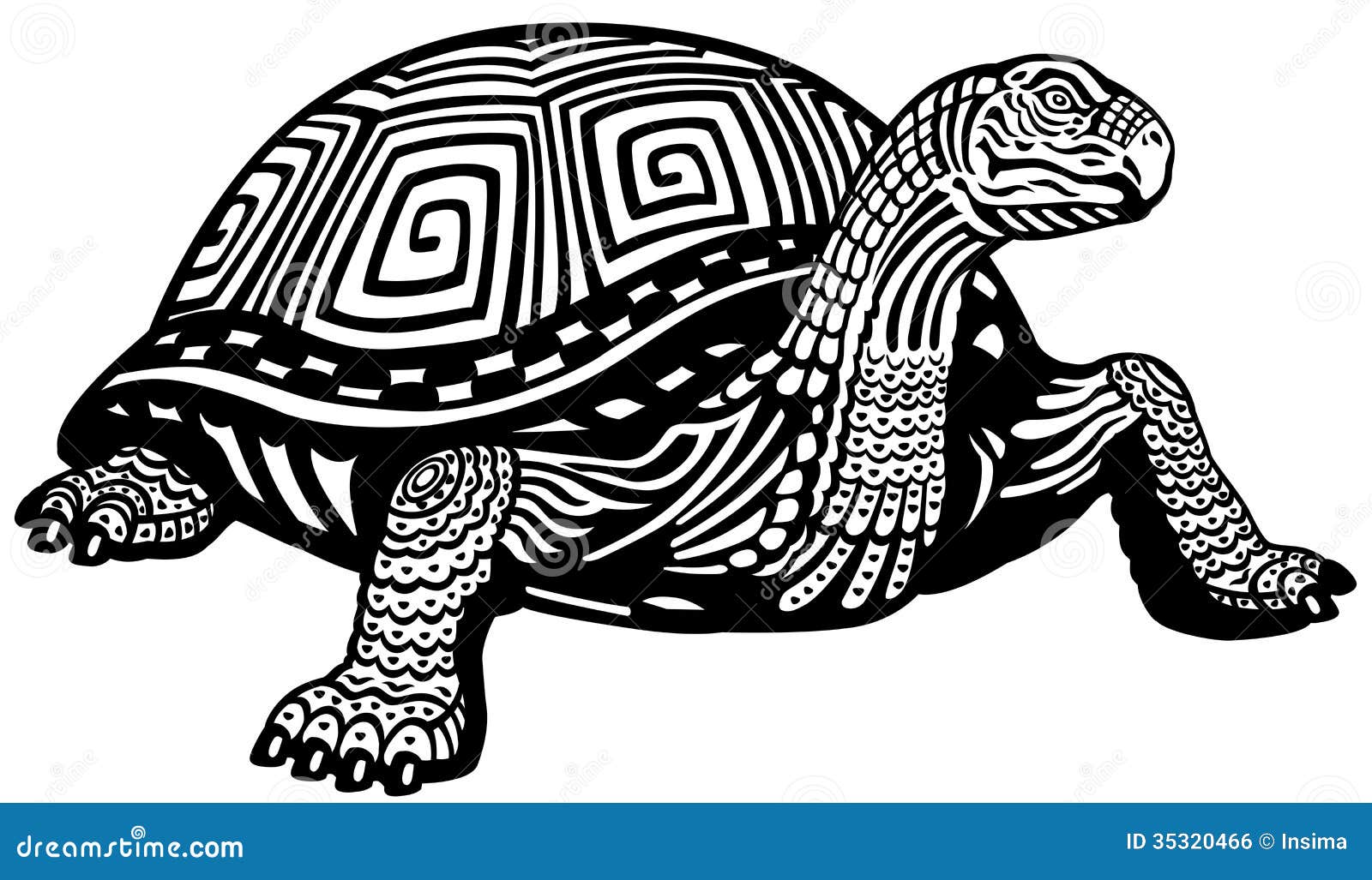 turtle clipart black and white - photo #32