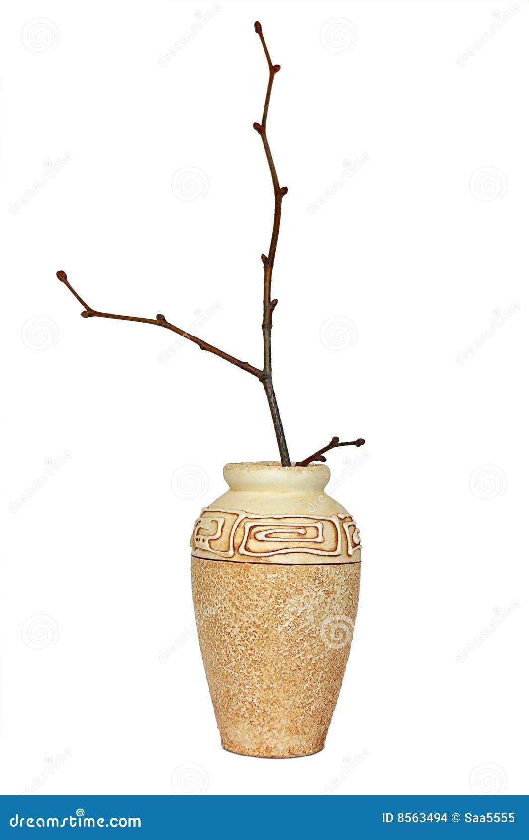 Twig In Vase Stock Images Image 8563494