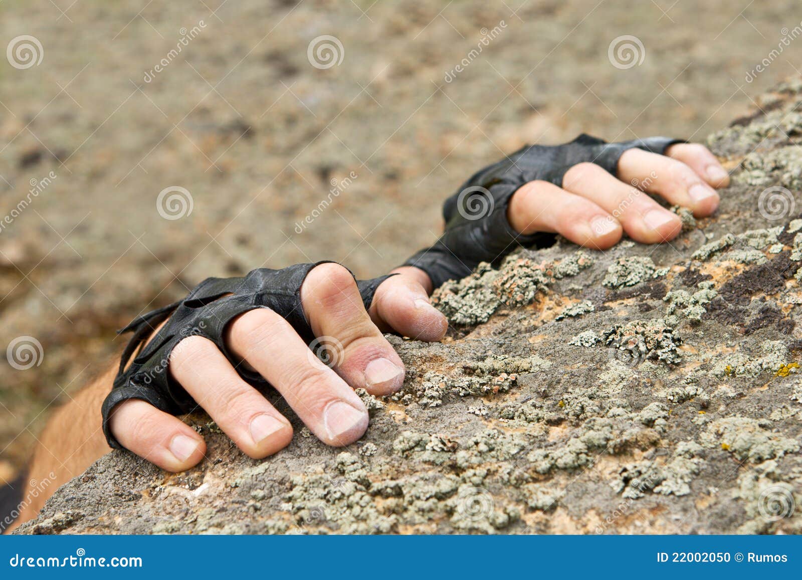 Two Hands Of Rock-climber Hanging On Stone Stock Photo - Image: 22002050