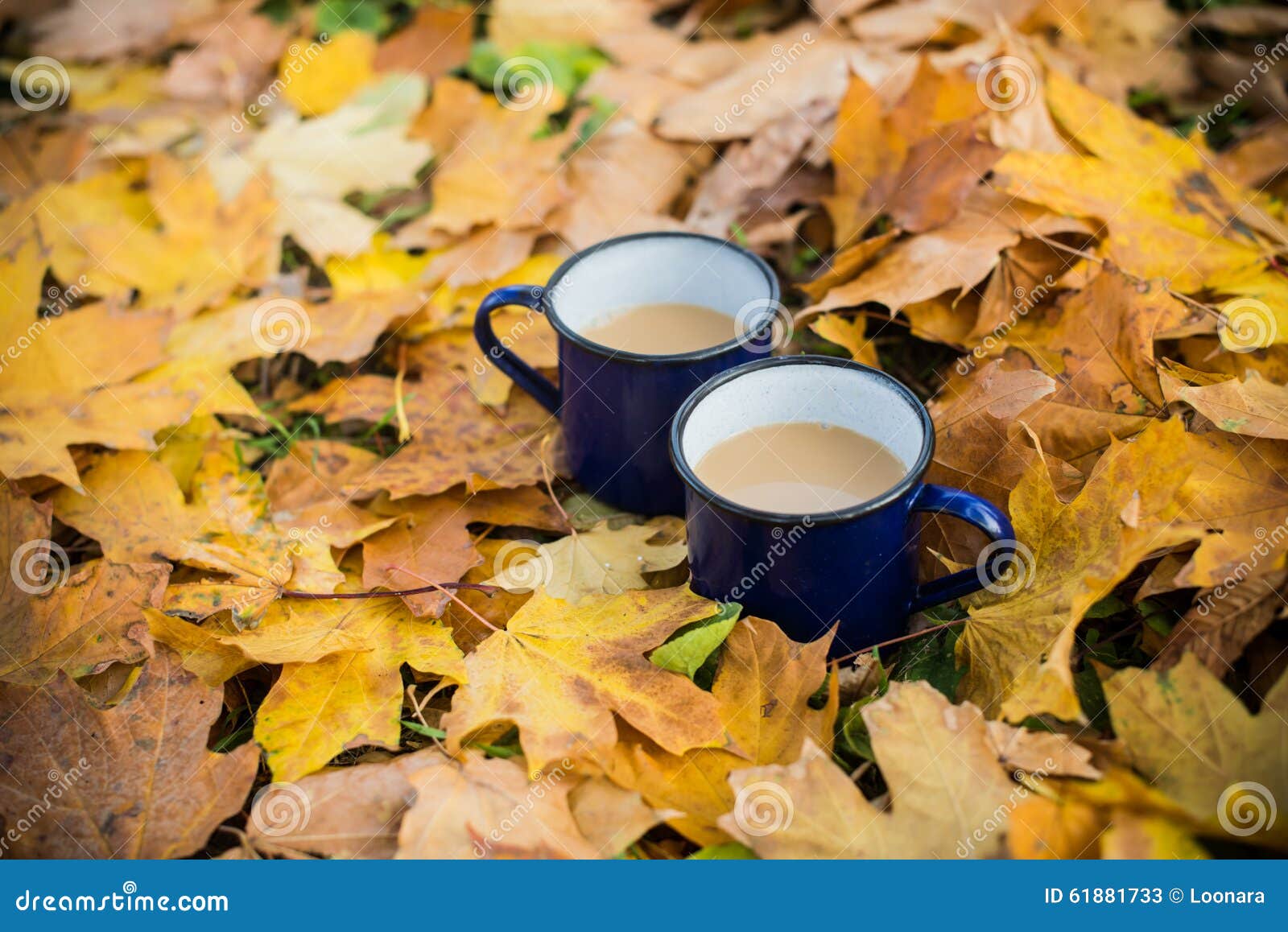 two mugs of coffee stock photo image 61881733 fairmount water works wedding