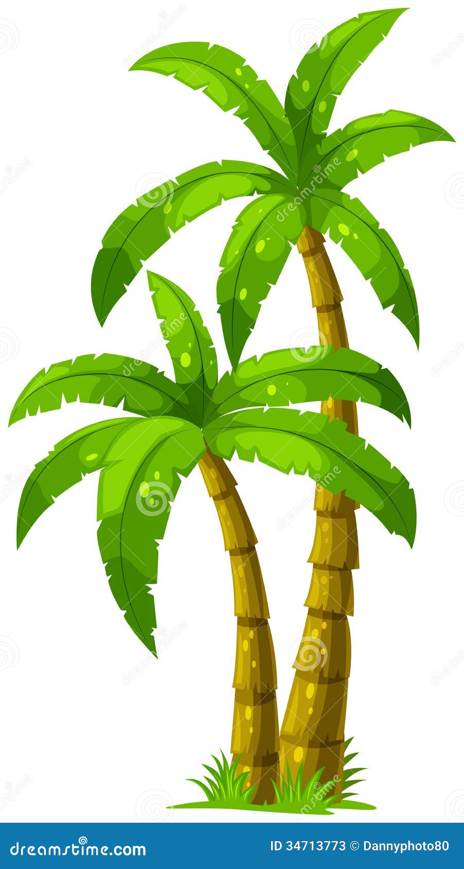 Illustration of the two palm trees on a white background.