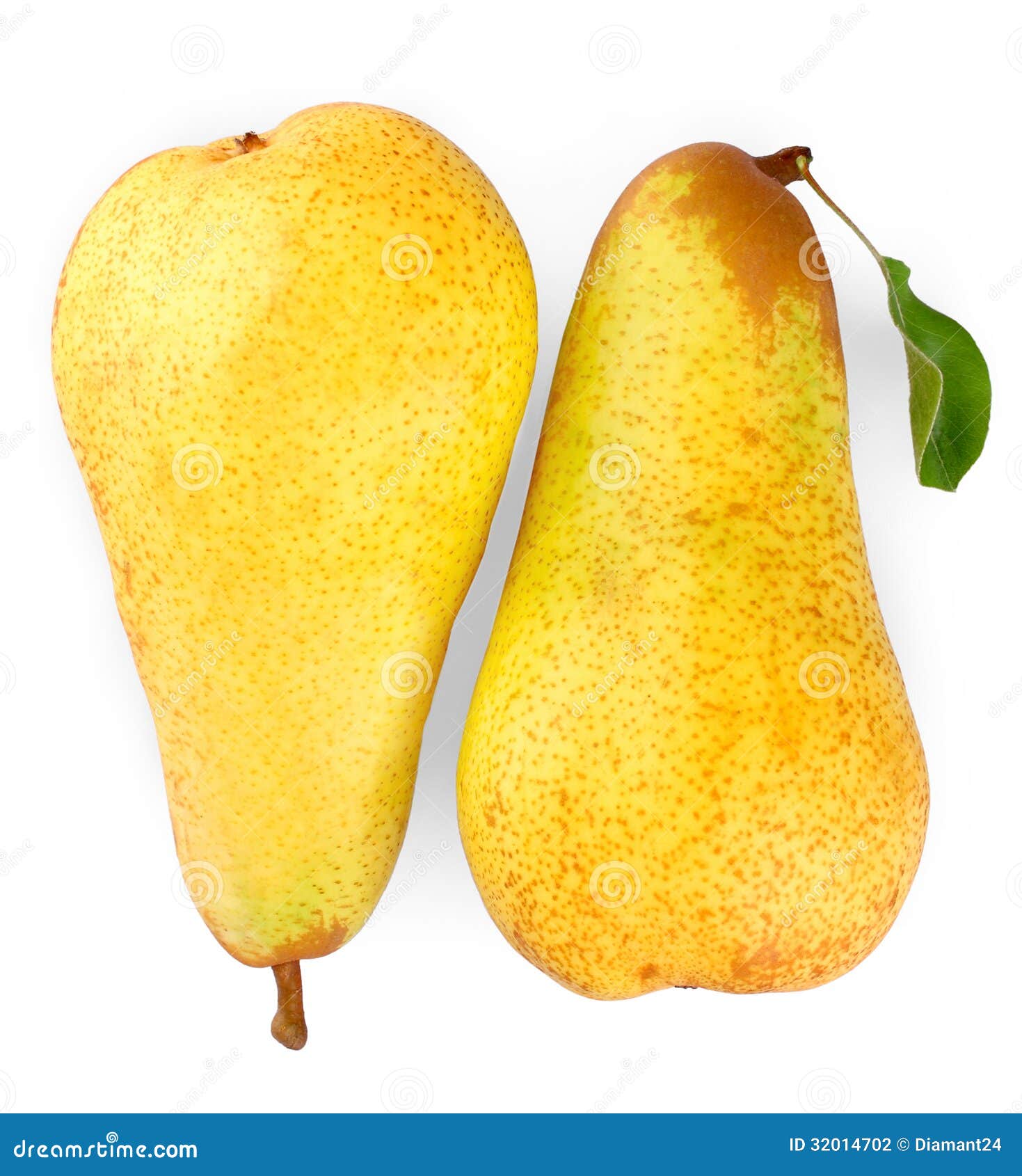 Two Ripe Yellow Pears On White Background Up Stock Two Ripe Yellow Pears On White Background Up Stock