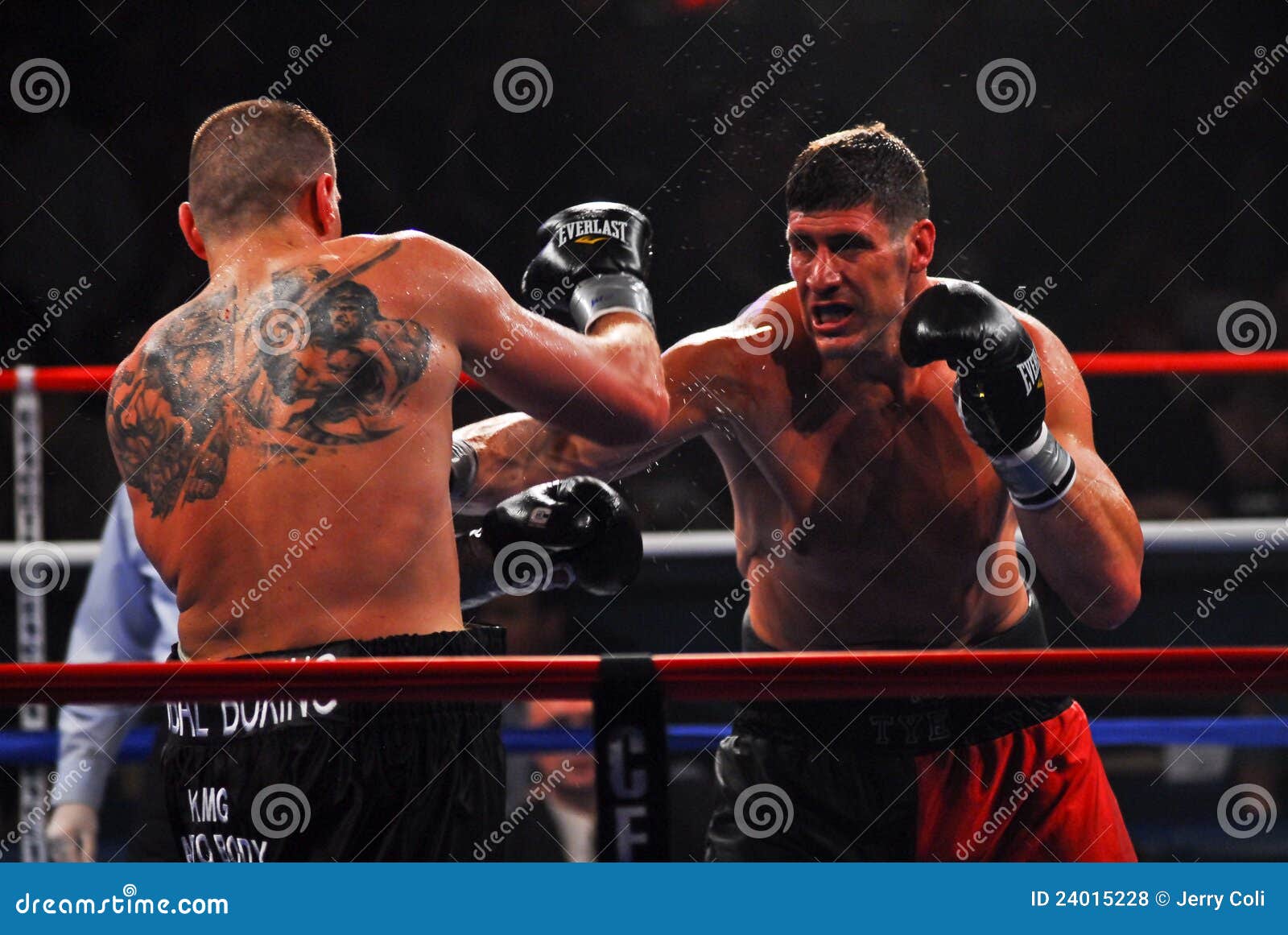 download Memory and Forgetting in