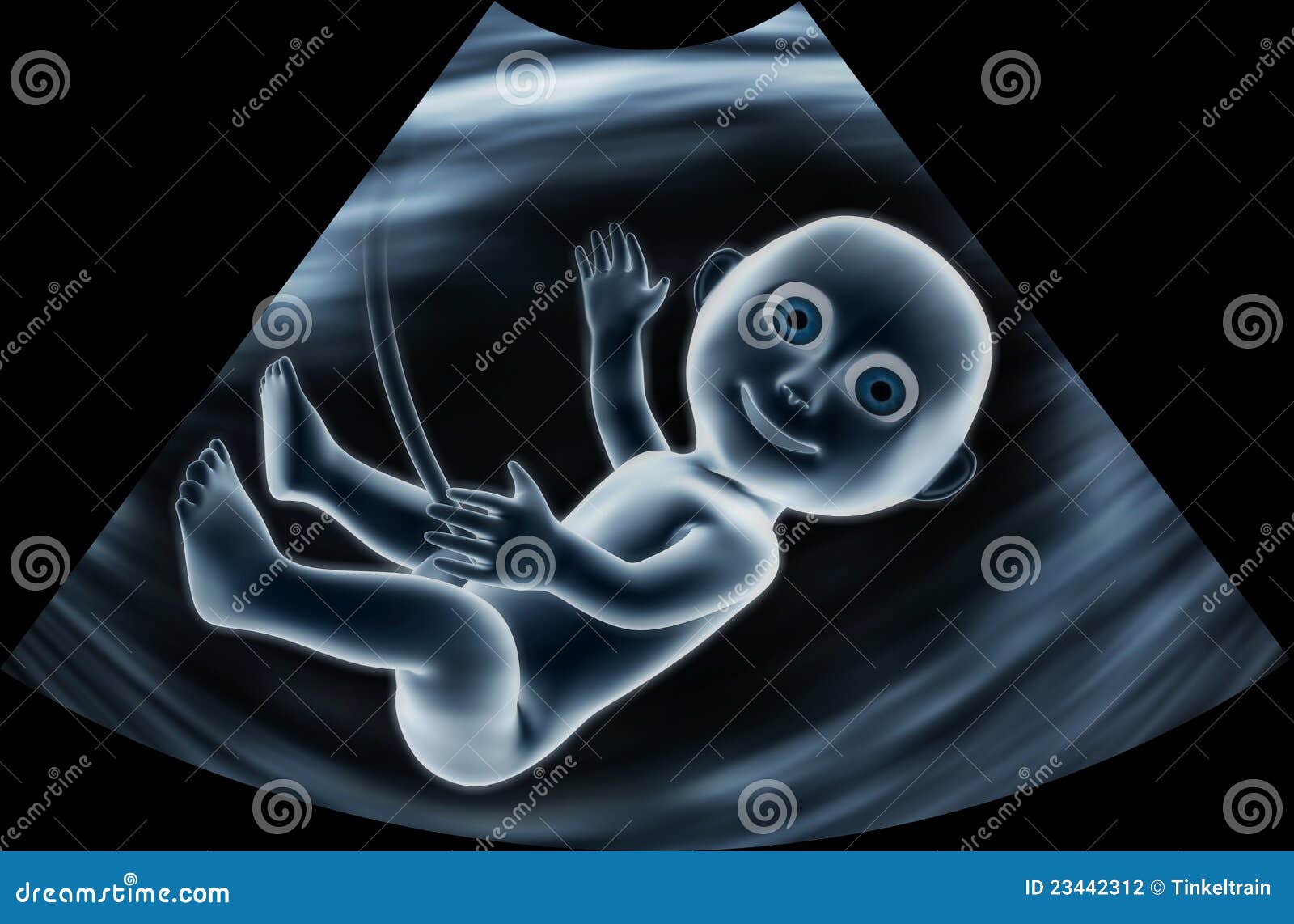 baby ultrasound clipart - photo #8