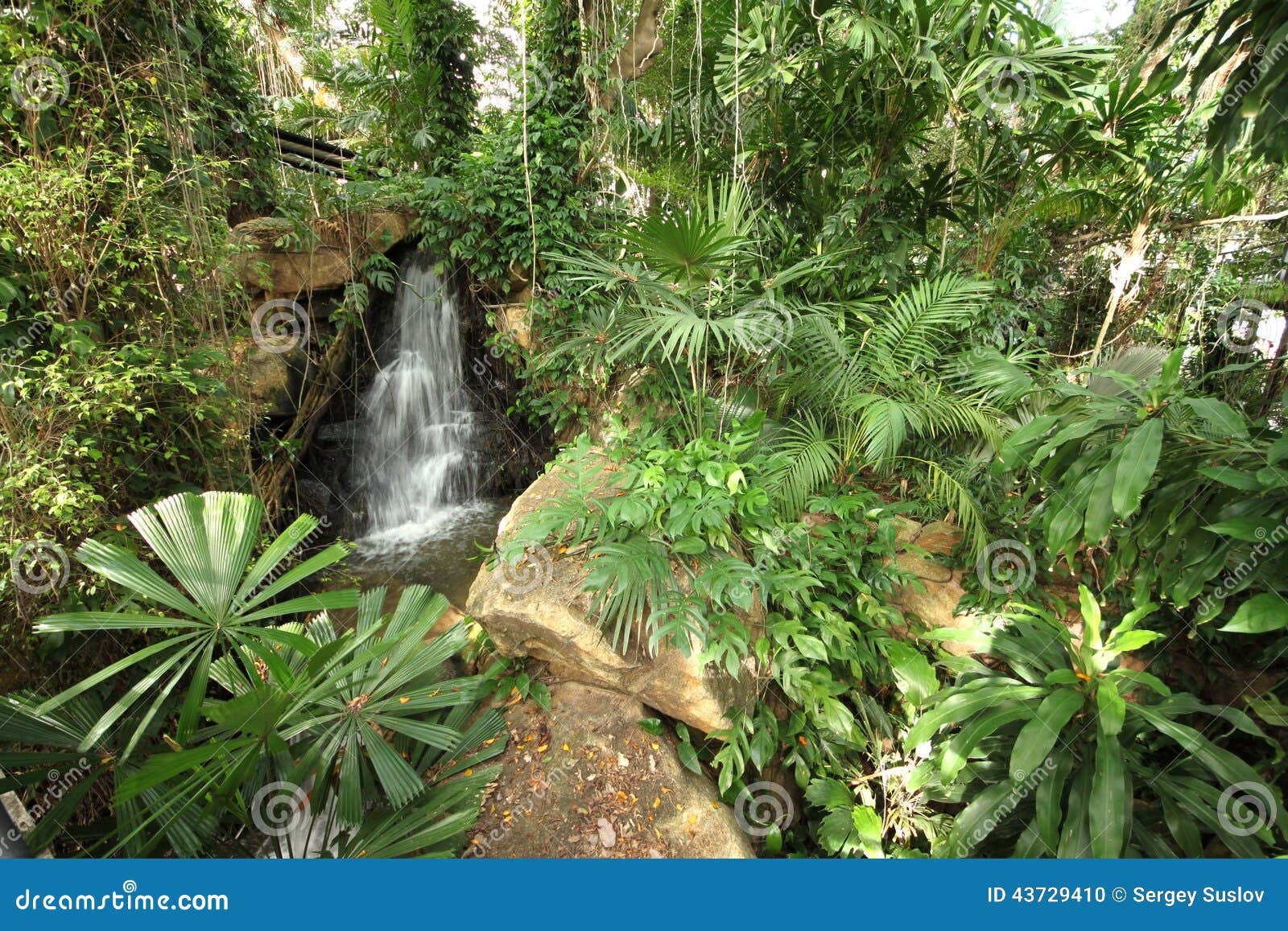 de um prado tropical com plantas e cachoeira e de pedras no jardim de um prado tropical com plantas e cachoeira e de pedras no jardim