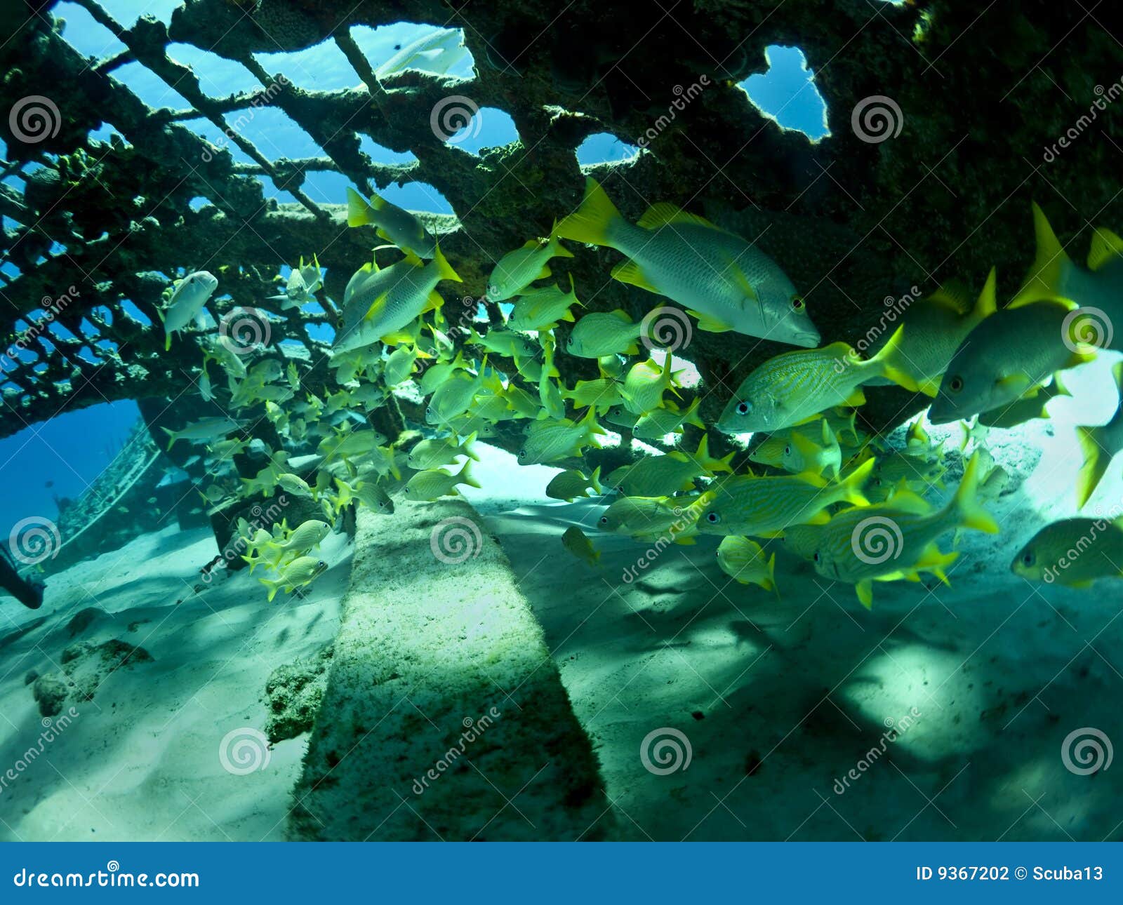 Underwater Dome Stock Photography Image 9367202