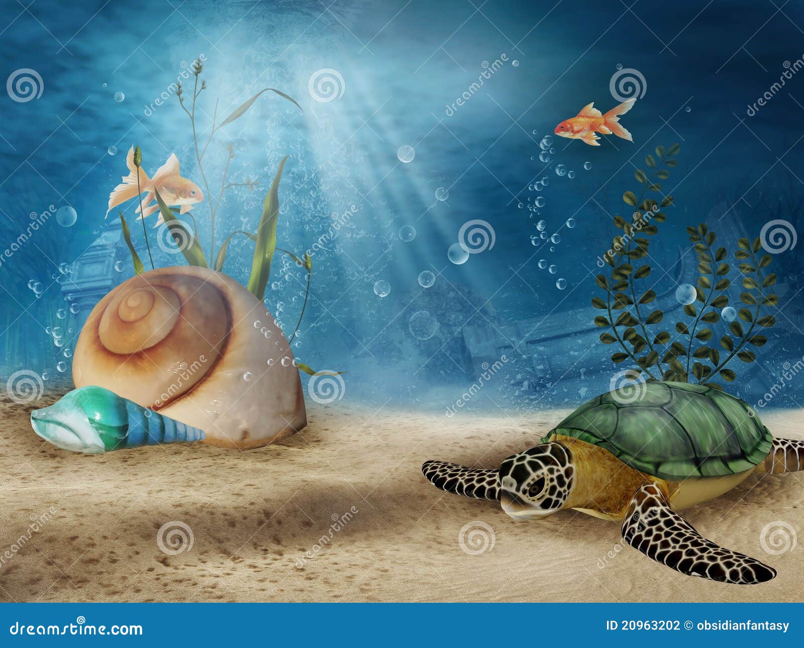 Underwater scenery with shells