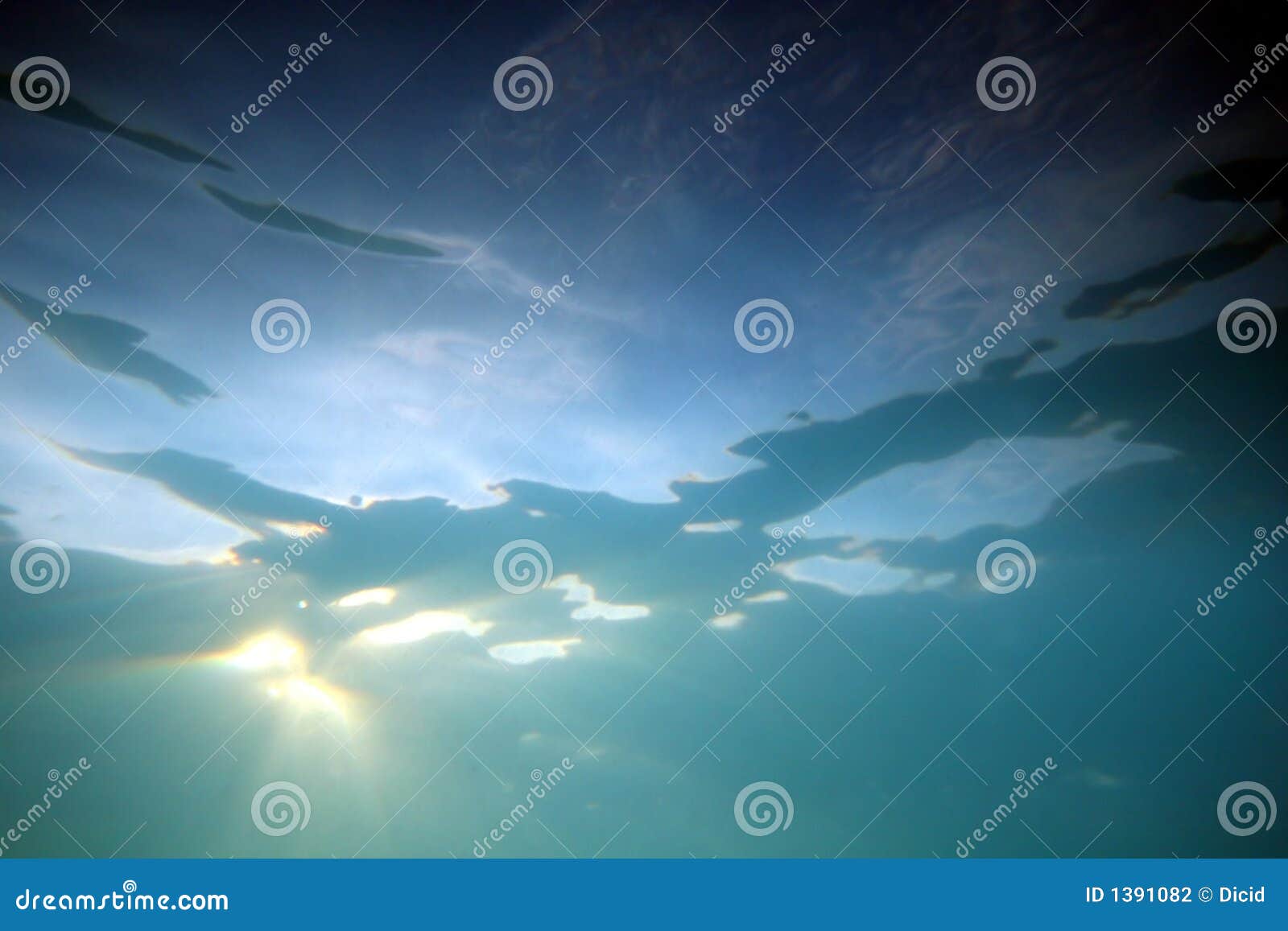 32 Best Underwater Sunlight for Underwater Sunlight Drawing
55jwn 32 Best Underwater Sunlight for Underwater Sunlight Drawing
55jwn