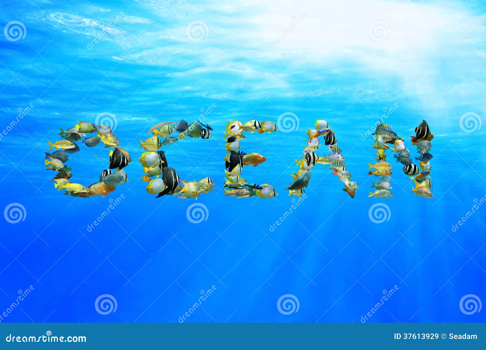 Underwater Word OCEAN Composed From Fish Royalty Free