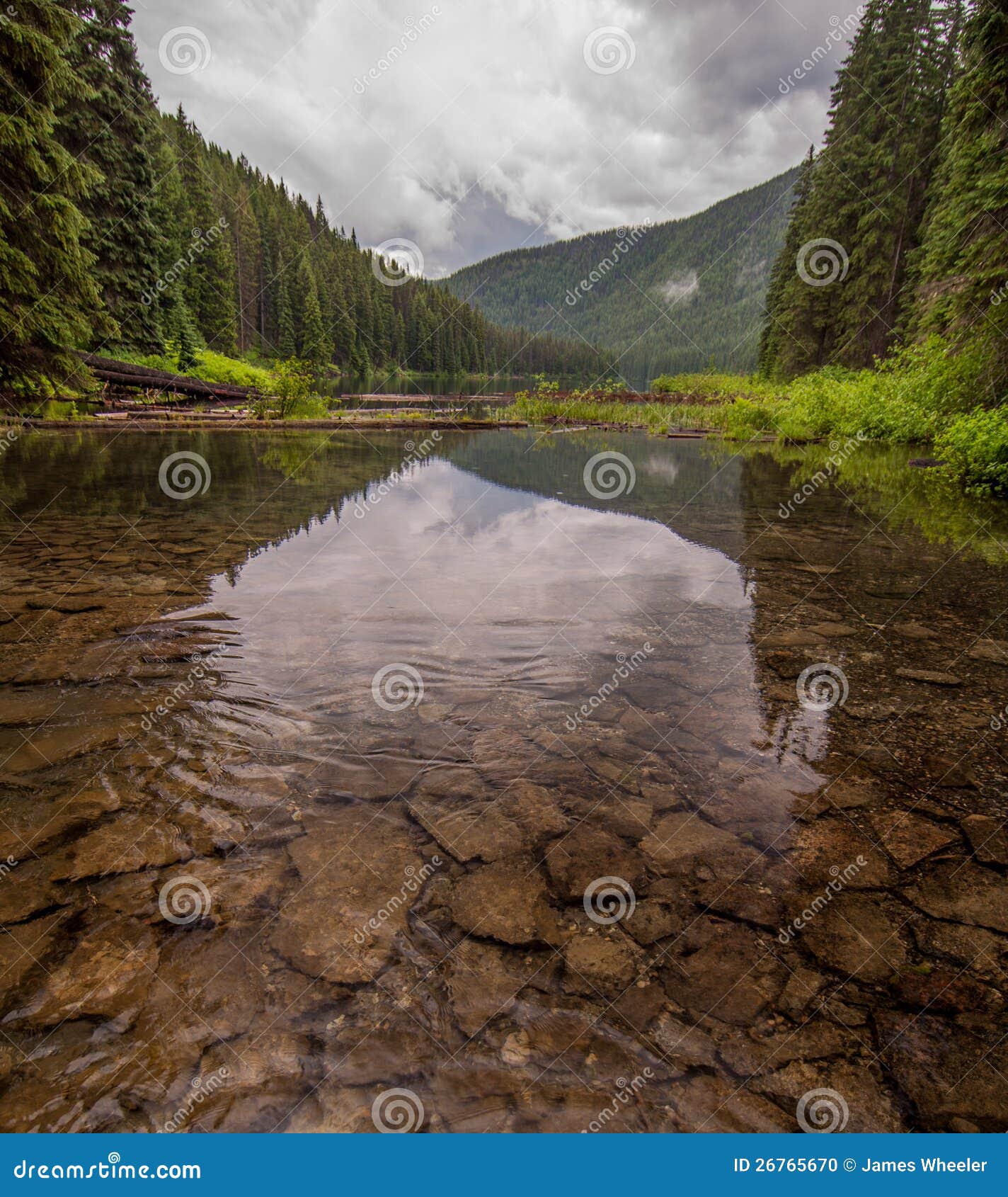 My Image 9