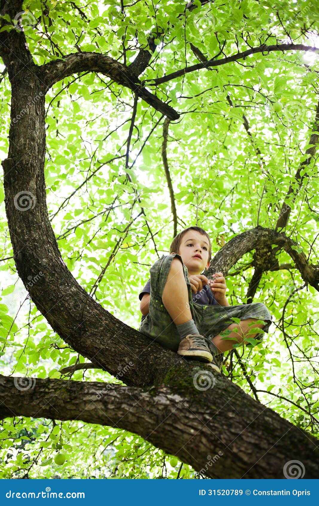 Baum Holding Baum Holding