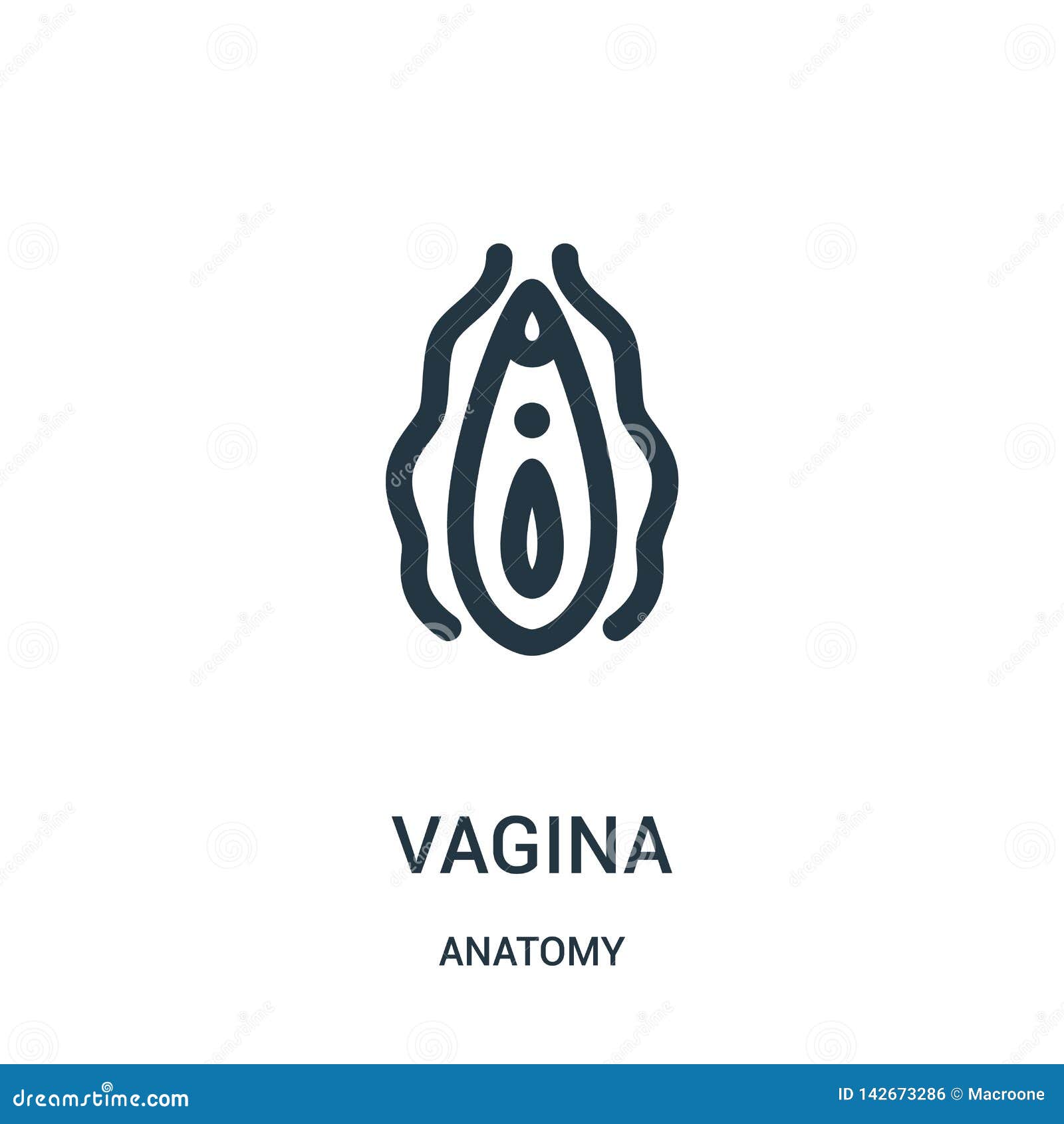 Vagina Icon Vector From Anatomy Collection Thin Line Vagina Outline