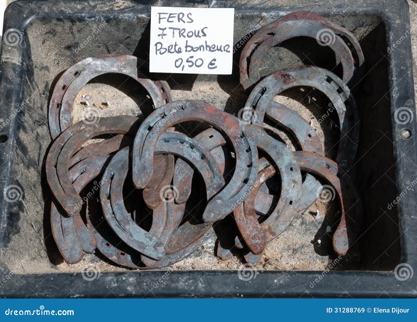 Cavallo Shoes For Sale Cavallo Shoes For Sale