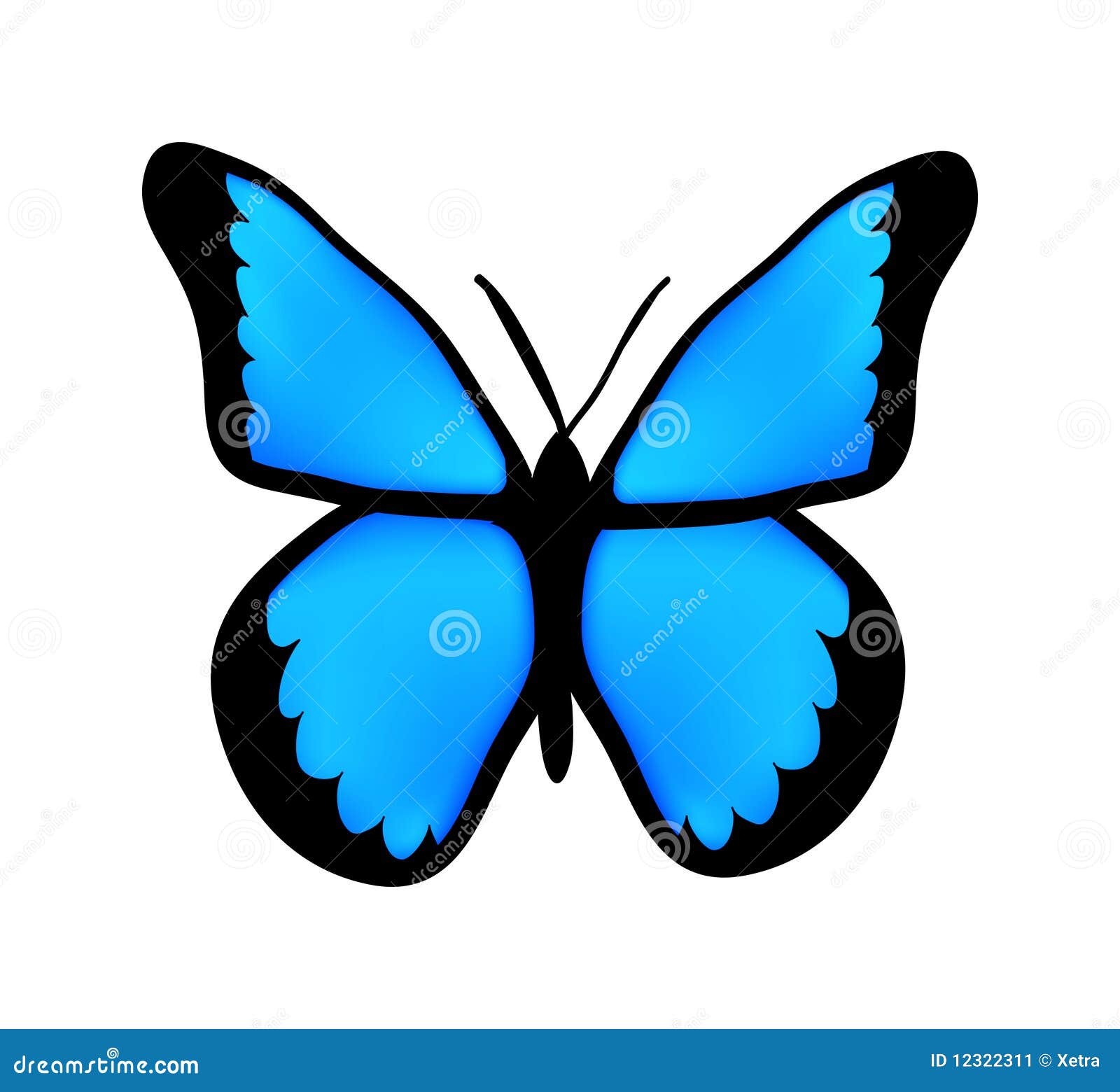 Vector Blue Butterfly Stock Image Image 12322311