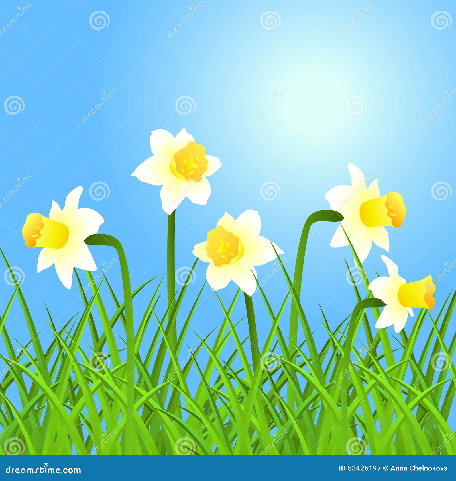 Vector Narcissus And Grass. Stock Vector  Image: 53426197
