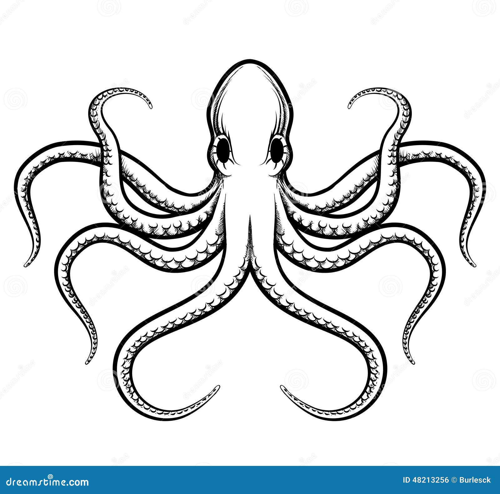 octopus clipart vector free - photo #48