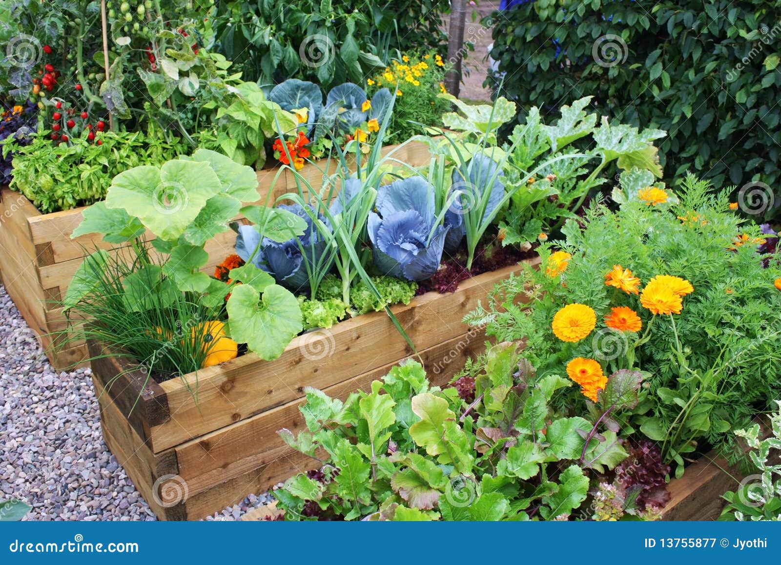 Gardening Pots Royalty Free Stock Image - Image: 812806