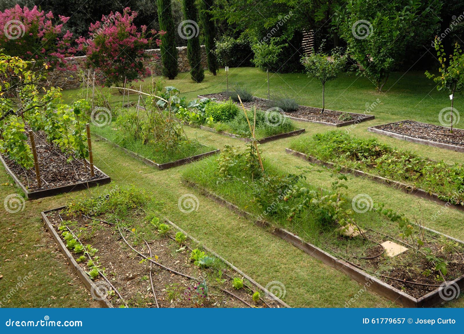 Vegetable Garden,vegetable Garden In The Countryside Stock Photo Vegetable Garden,vegetable Garden In The Countryside Stock Photo