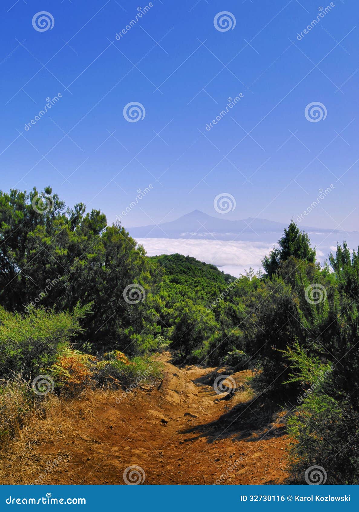 GARAJONAY GOMERA garajonay gomera: