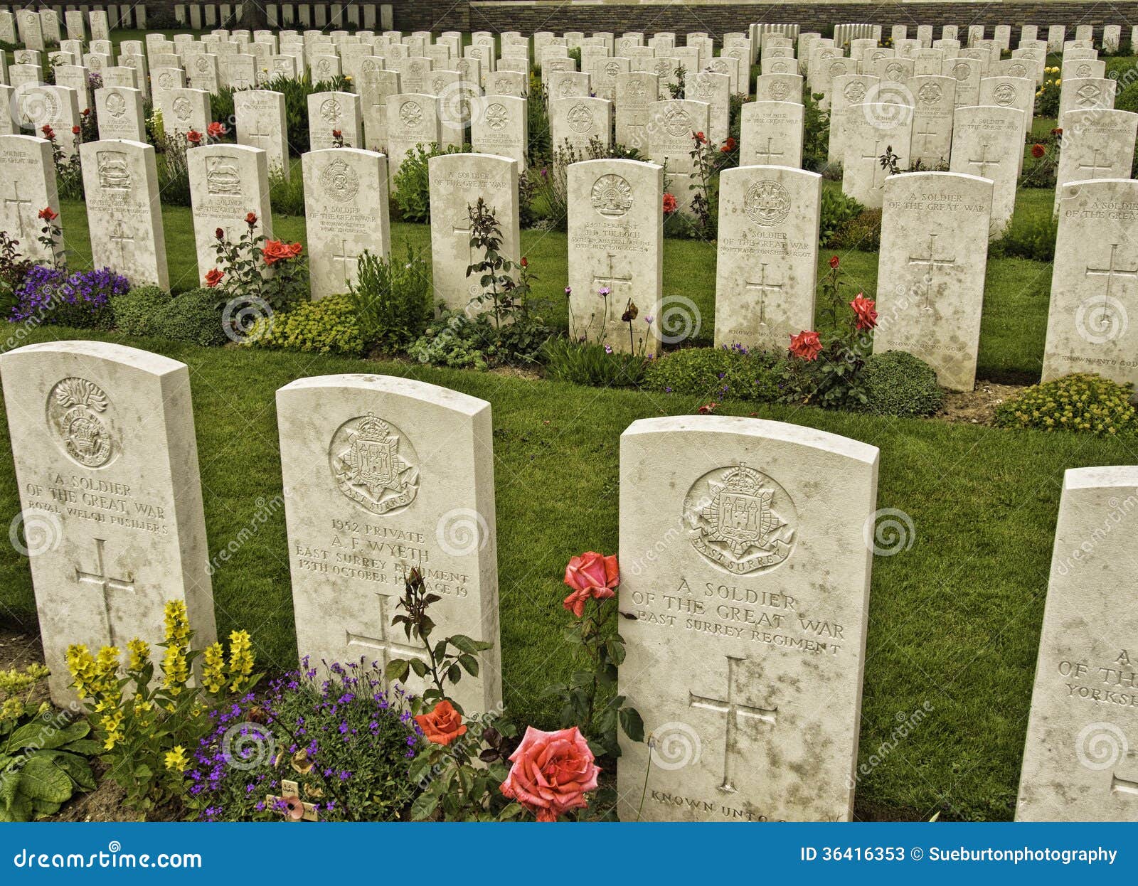 Vimy Ridge Grave Stone Editorial Stock Photo - Image: 364163531300 x 1029