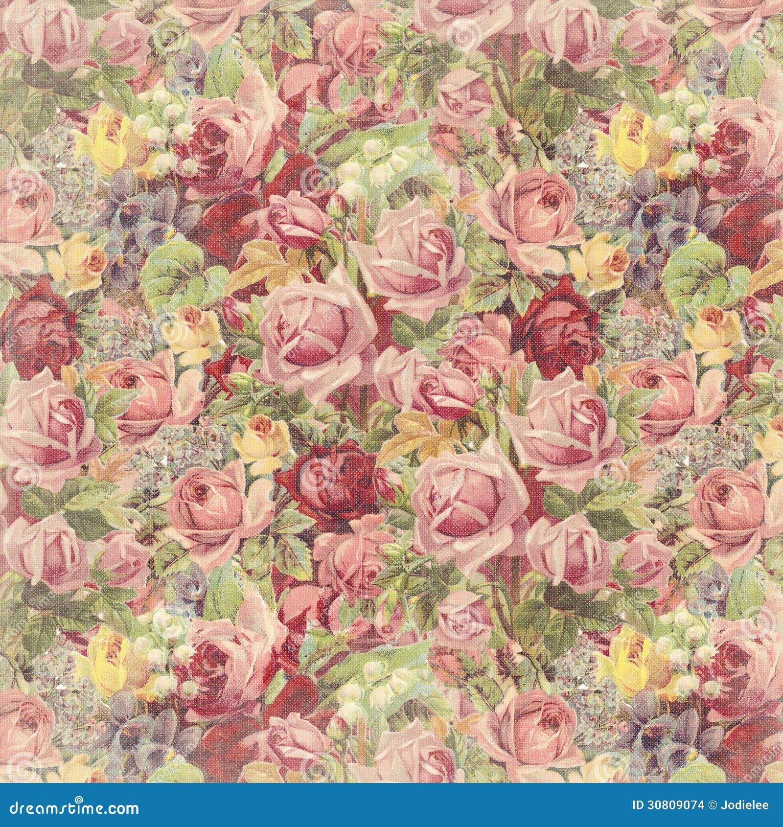 Vintage Rose Background Stock Images - Image: 30809074