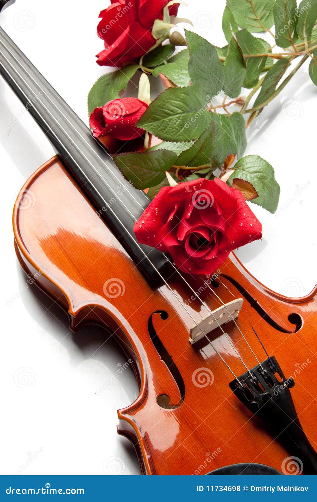 Violin And Rose Royalty Free Stock Photos - Image: 11734698