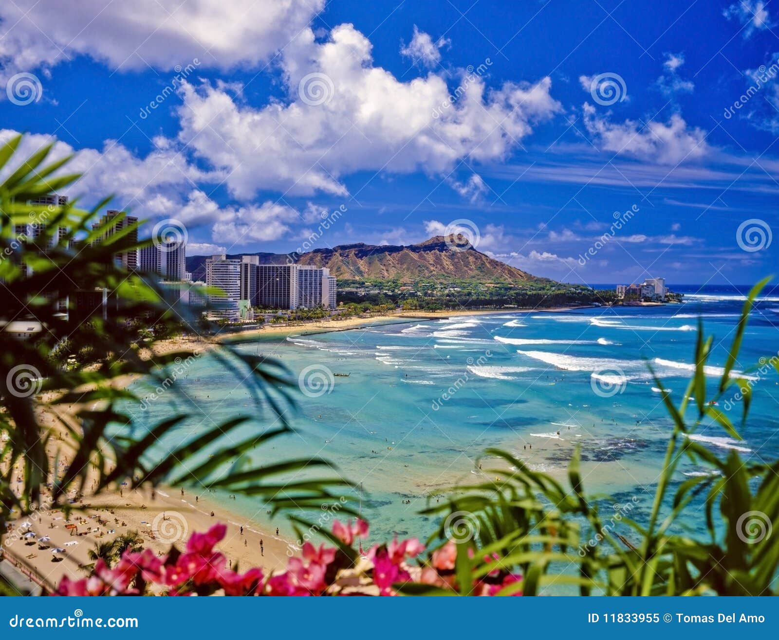 diamond head clip art - photo #28