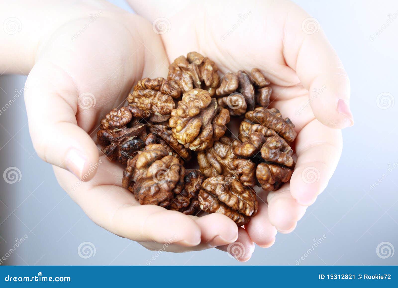 Walnut Nuts In Hands Stock Image Image 13312821