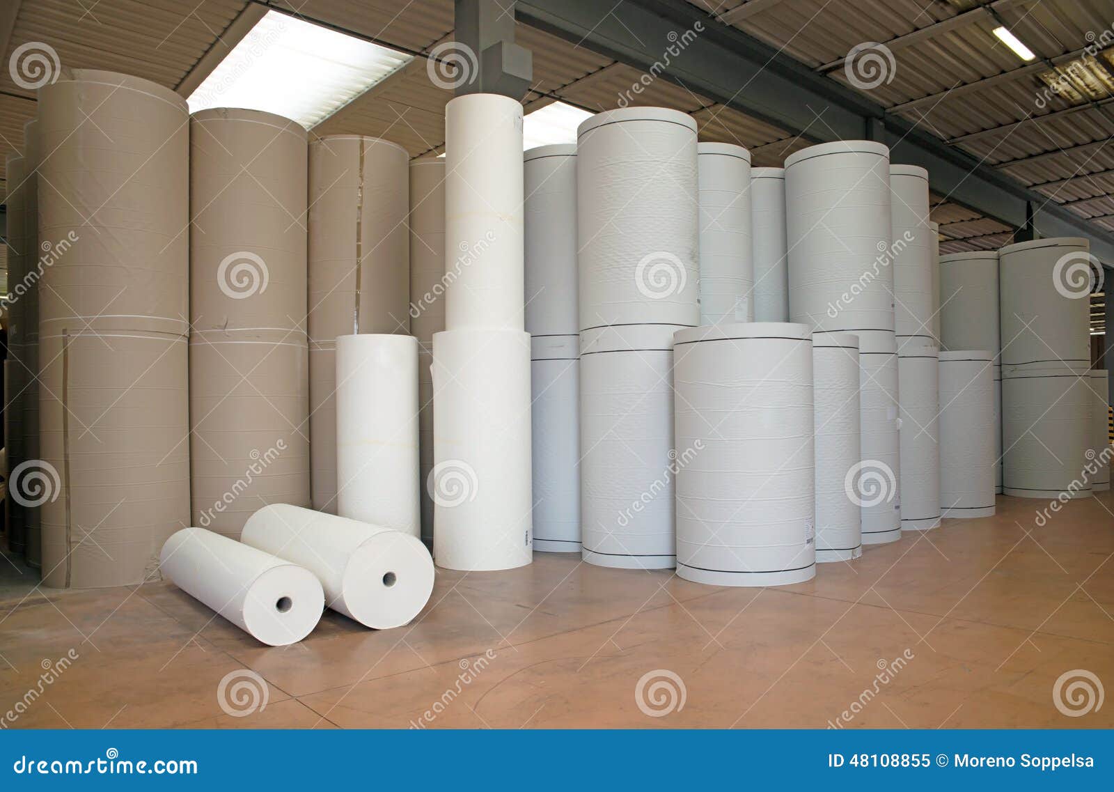 Warehouse essay