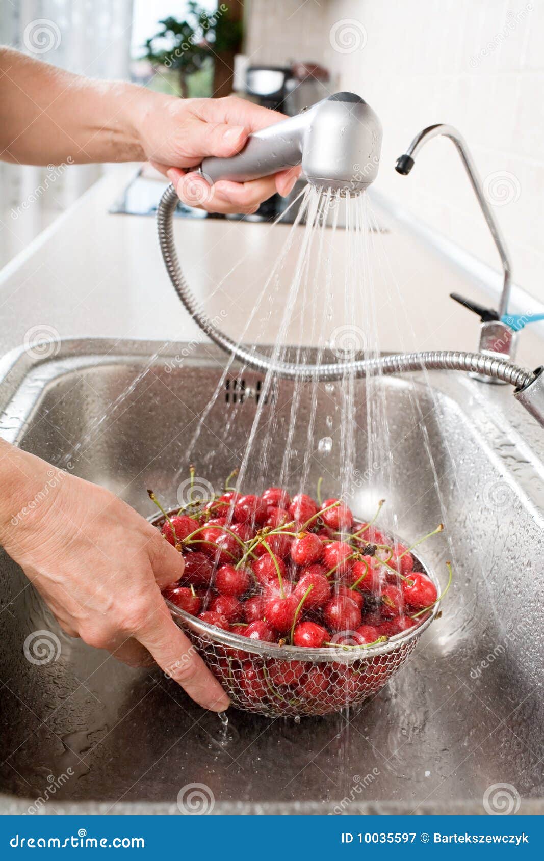 Washing cherry in the kitchen sink.