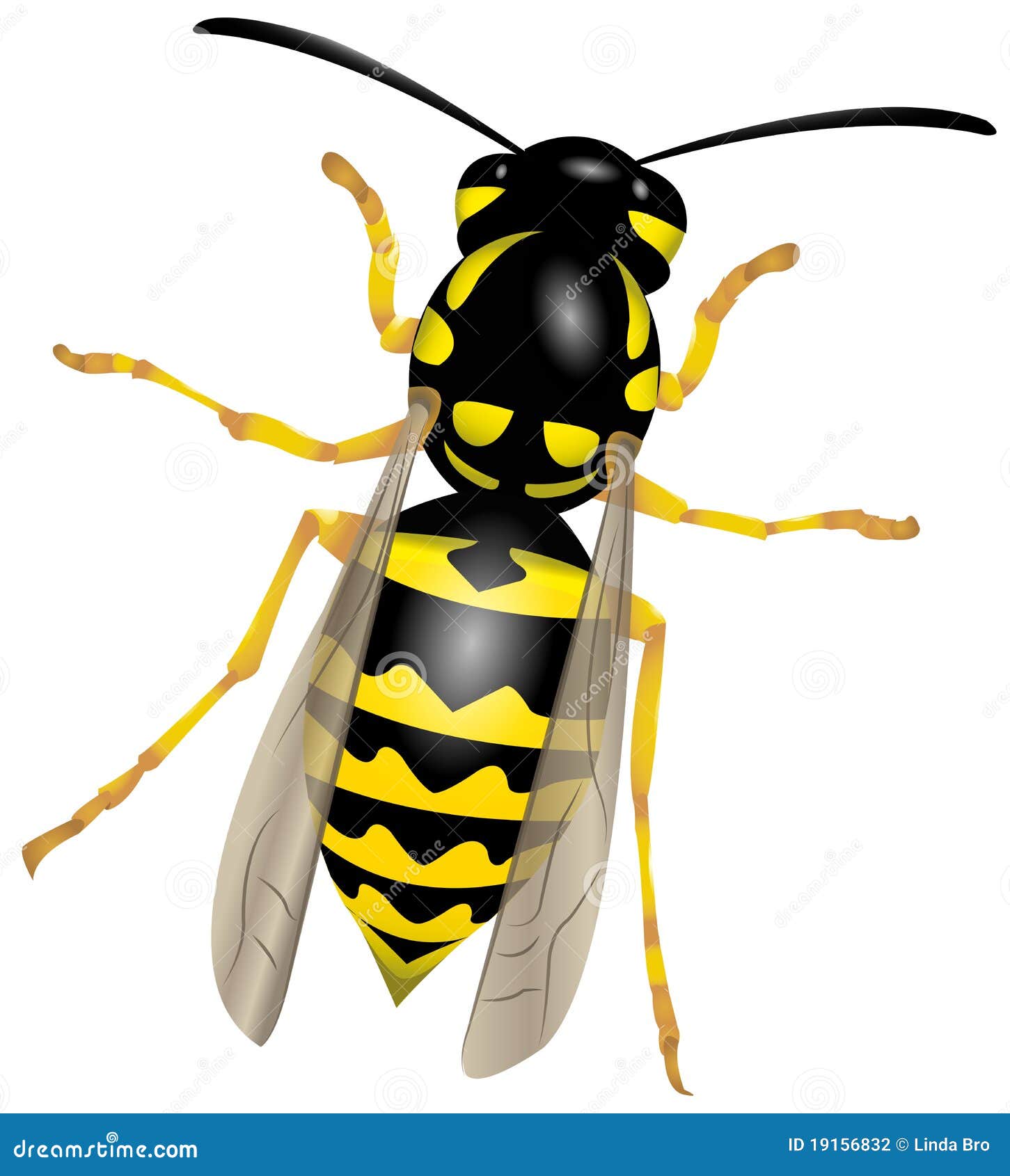 Yellowjacket Cartoons, Illustrations & Vector Stock Images - 11