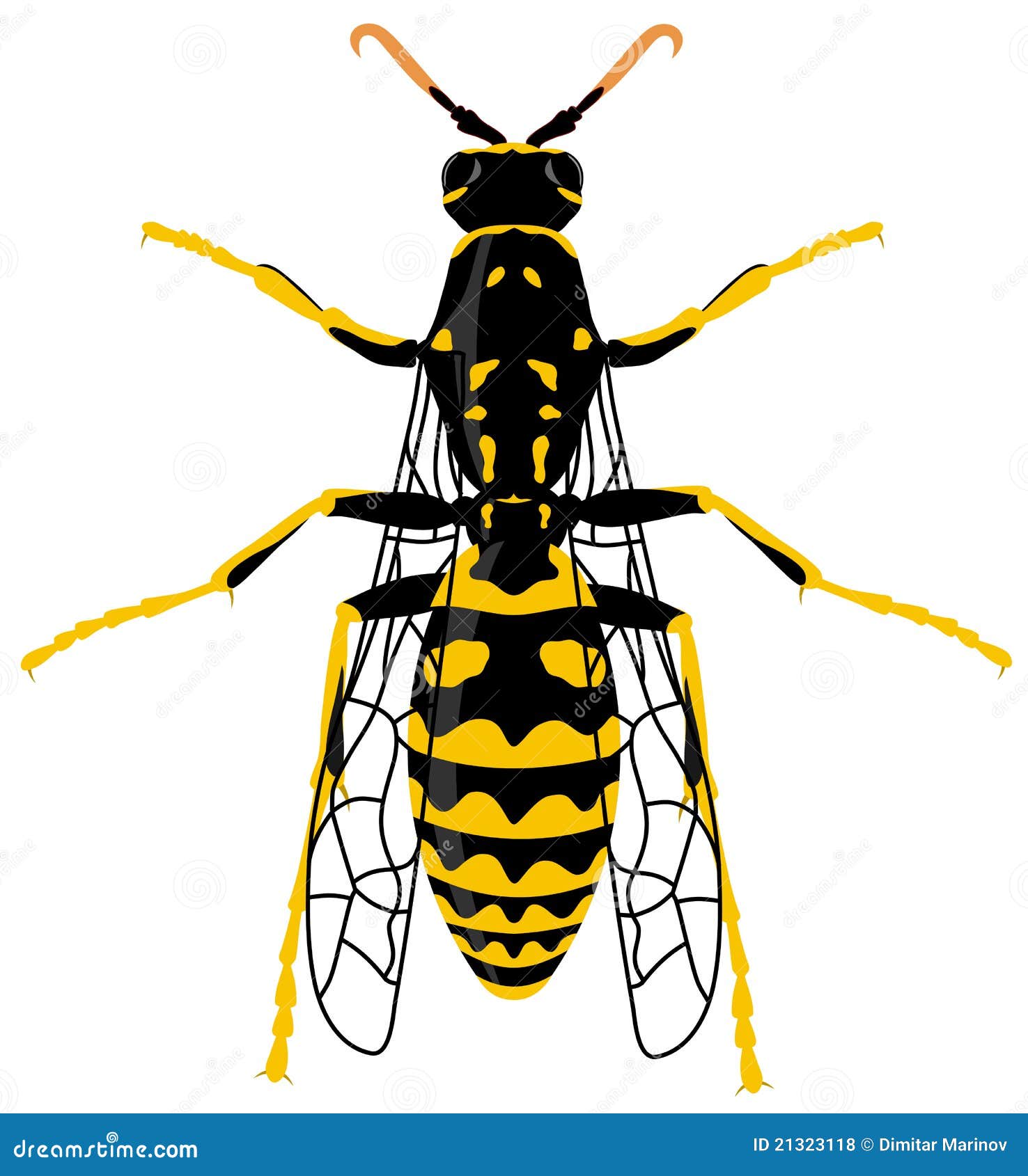 clip art hornets nest - photo #40