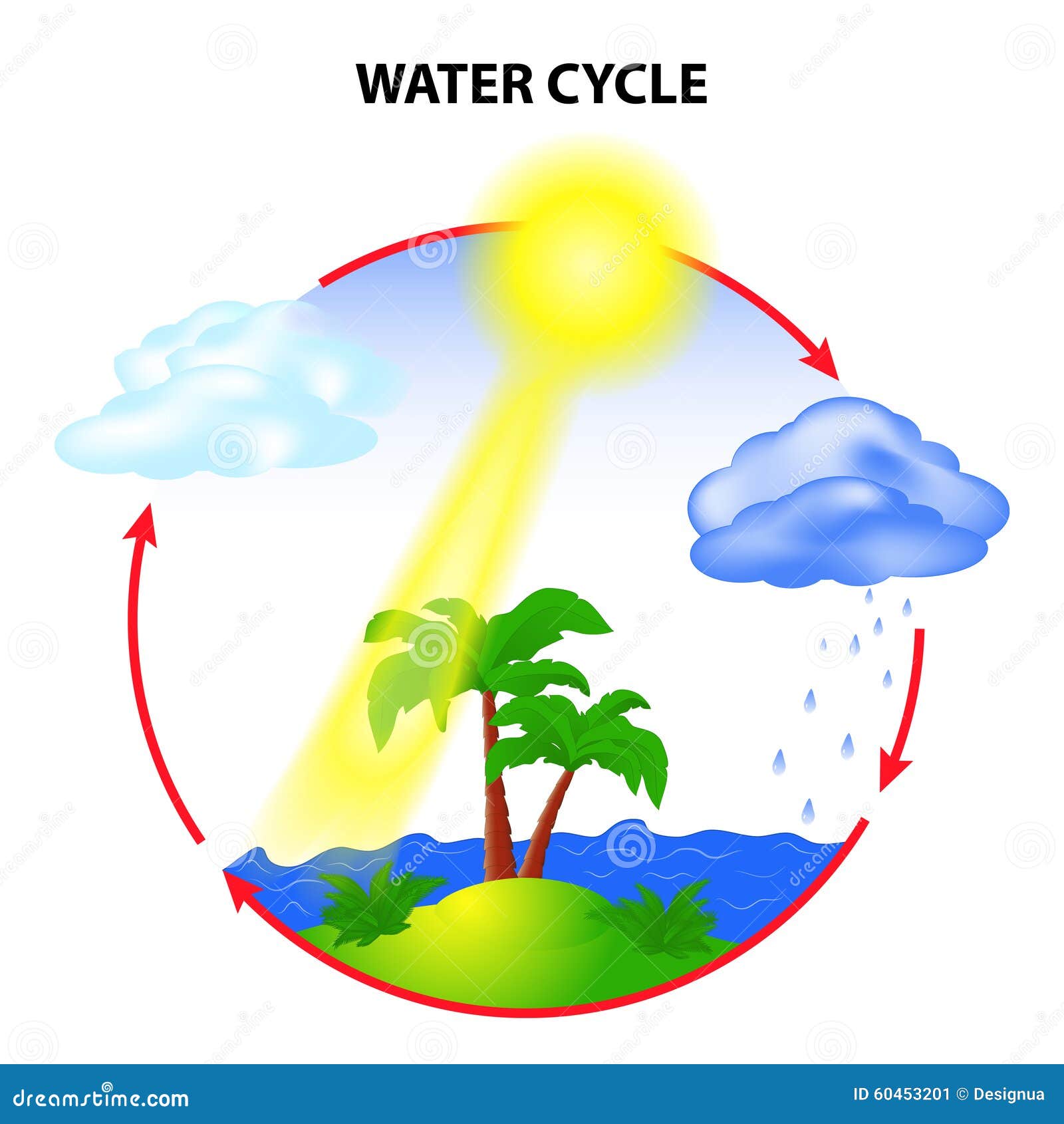 Images Of Water Cycle In Nature Images Of Water Cycle In Nature