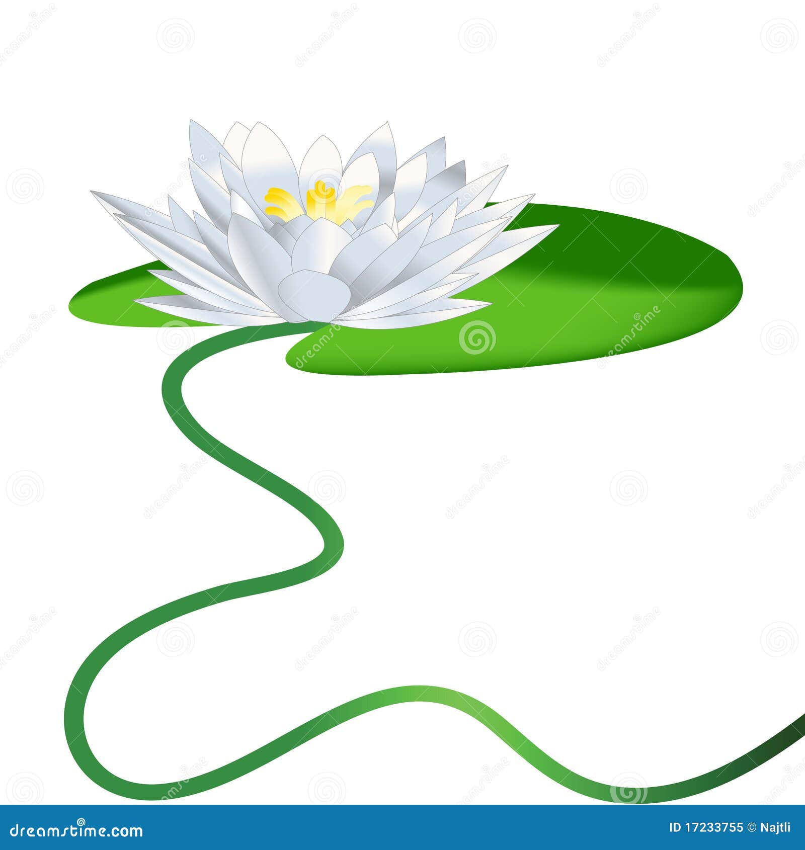 clipart water lily - photo #41