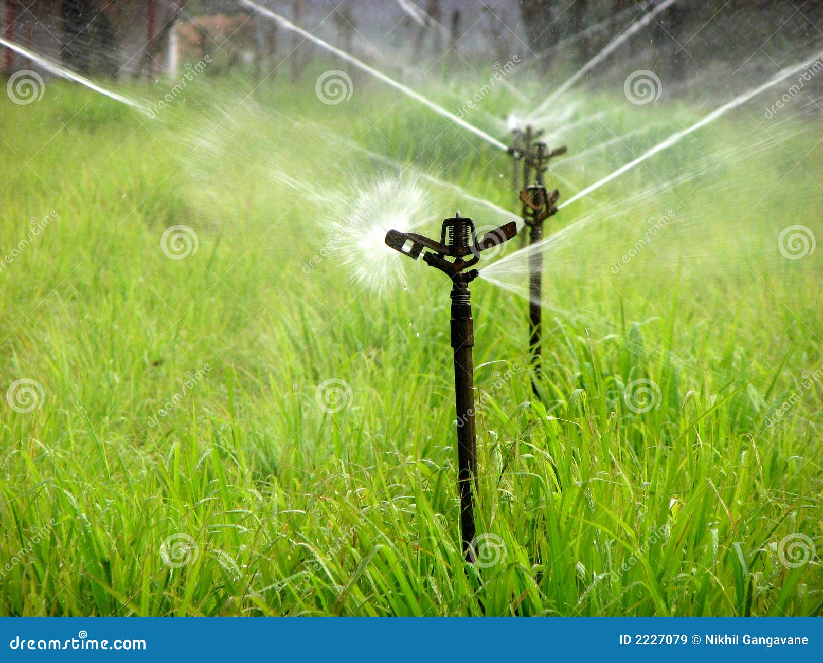 Water Sprinkler Royalty Free Stock Images - Image: 2227079