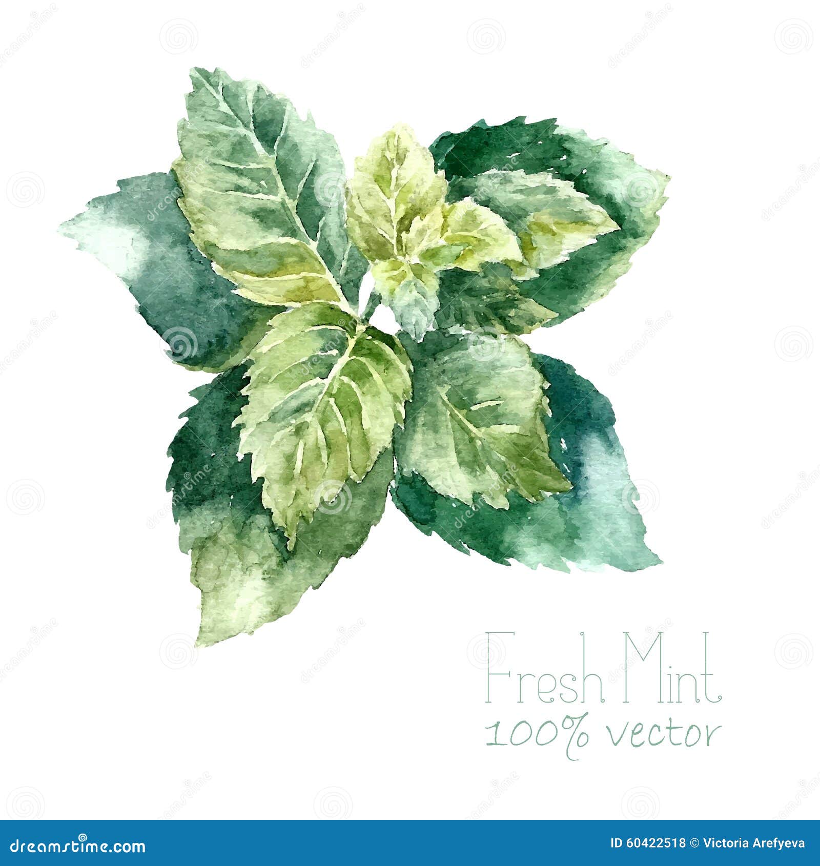 White Mint Kitchen White Mint Kitchen