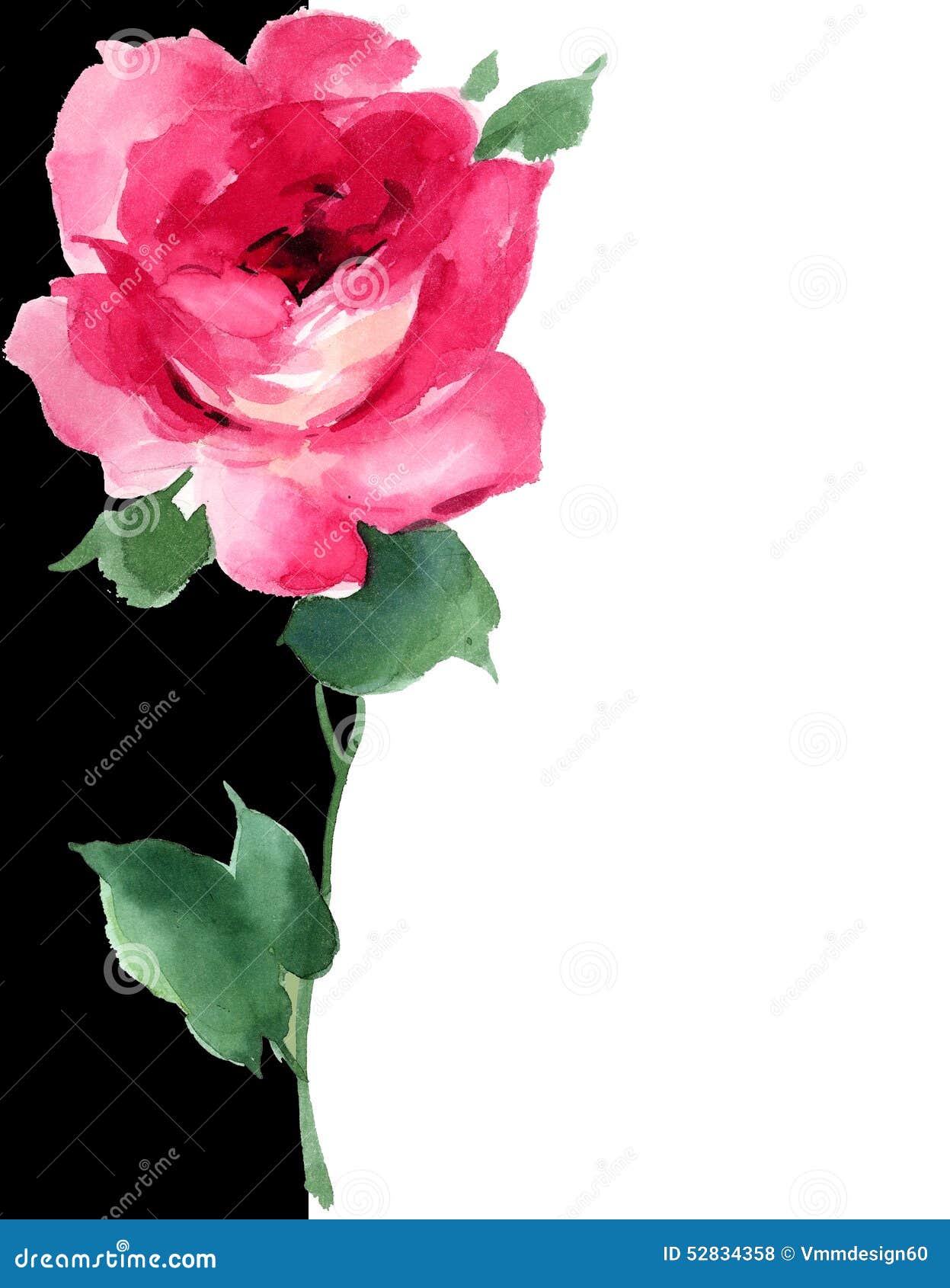 Black And Red Rose Art