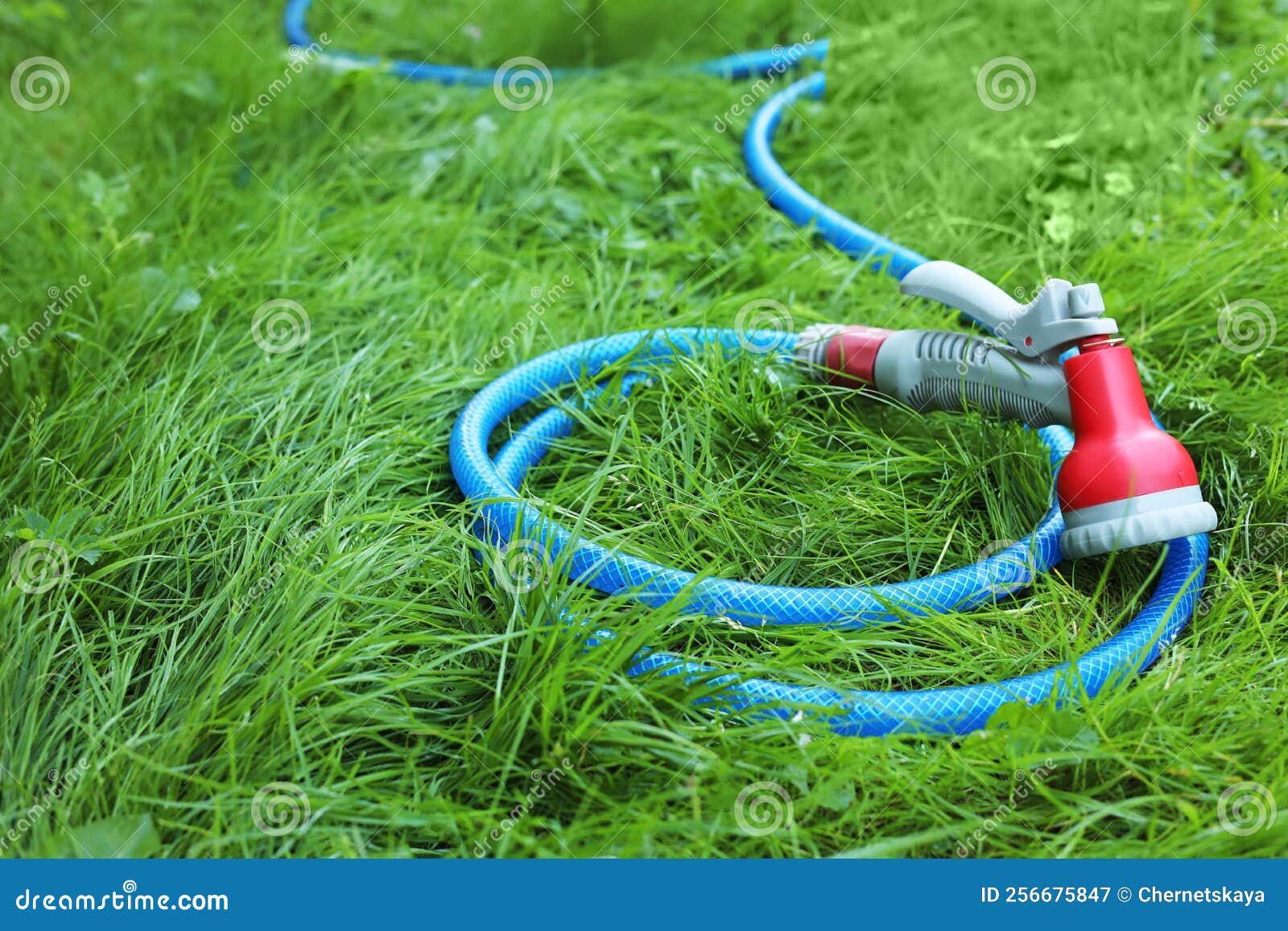 Watering Hose With Sprinkler On Green Grass Outdoors Space For Text