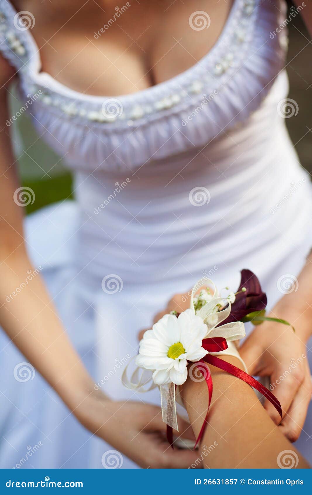 Wedding Decoration Royalty Free Stock Photography - Image: 26631857