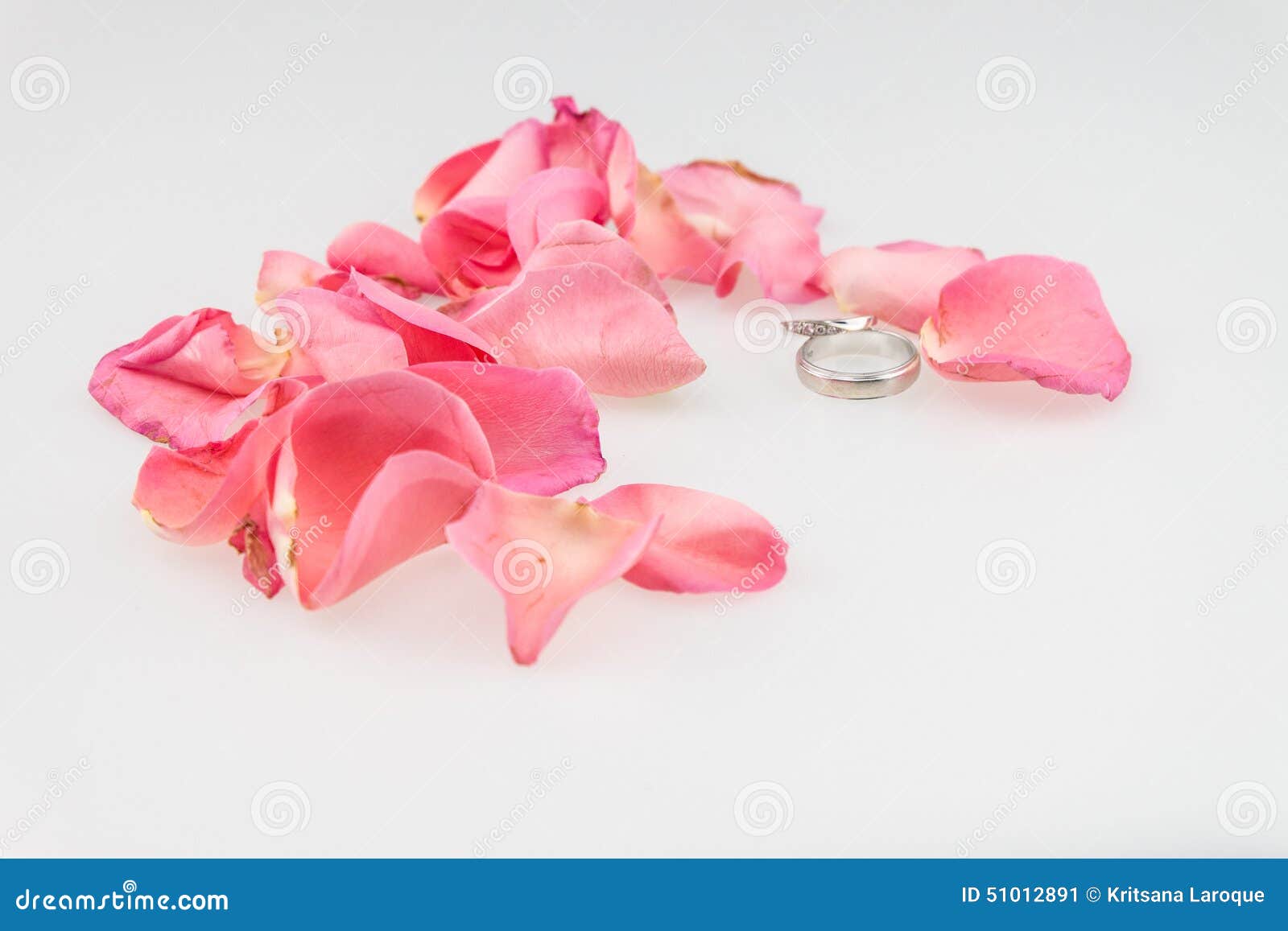 wedding rings on single rose petal