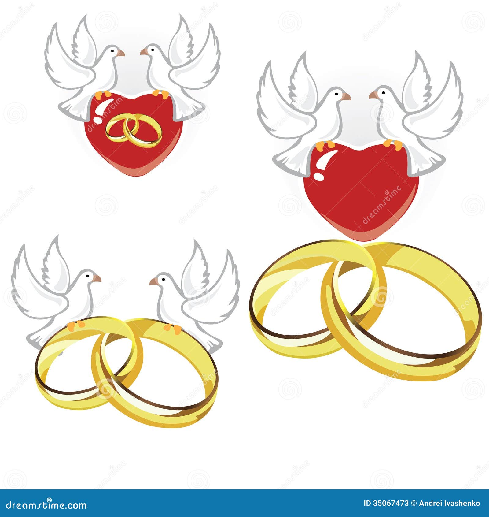 wedding dove and rings