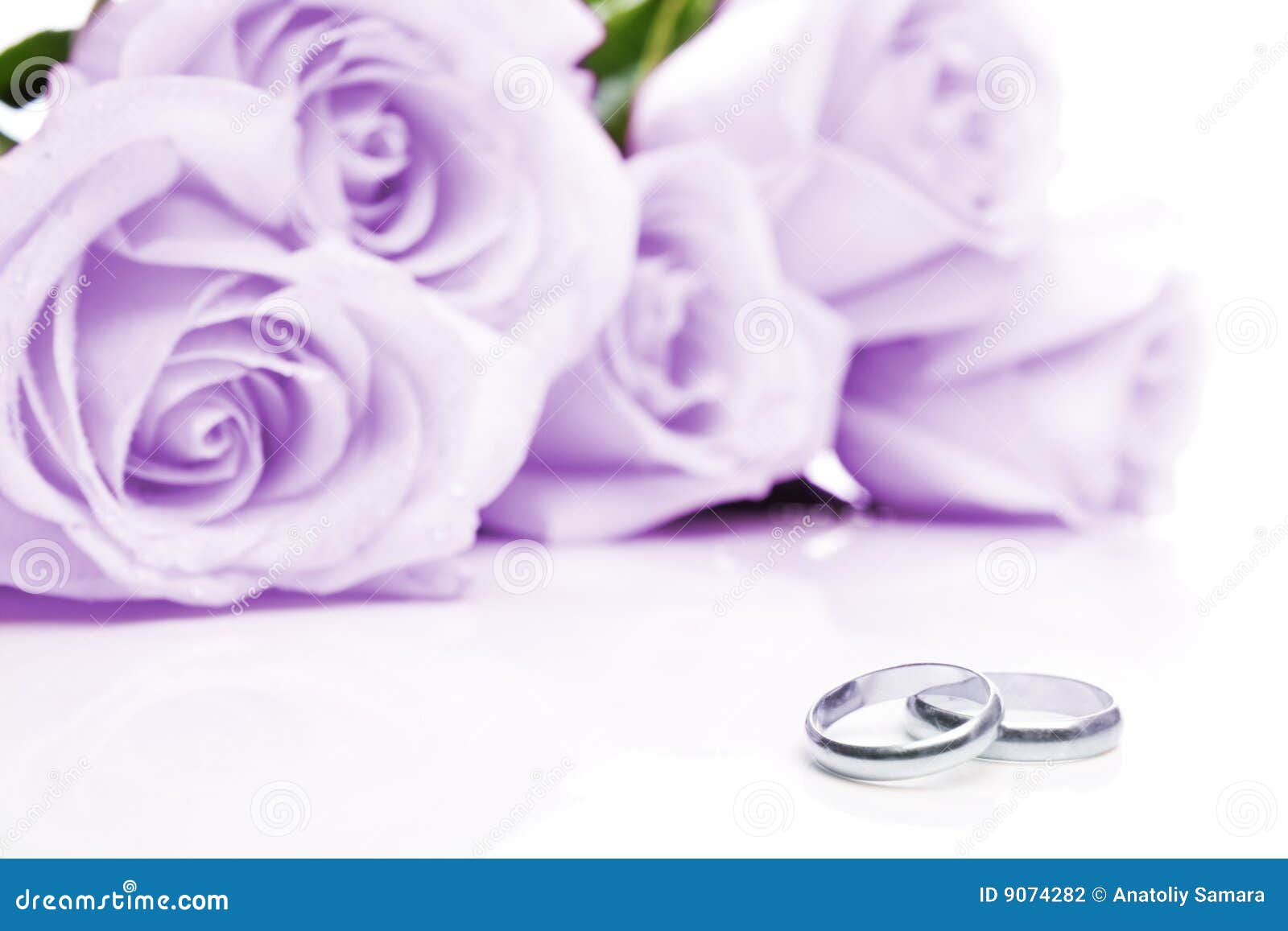 Wedding Rings And Roses Stock Photography Image 9074282