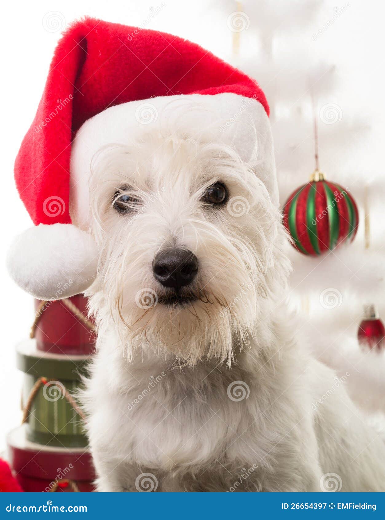 free christmas clip art with dogs - photo #39