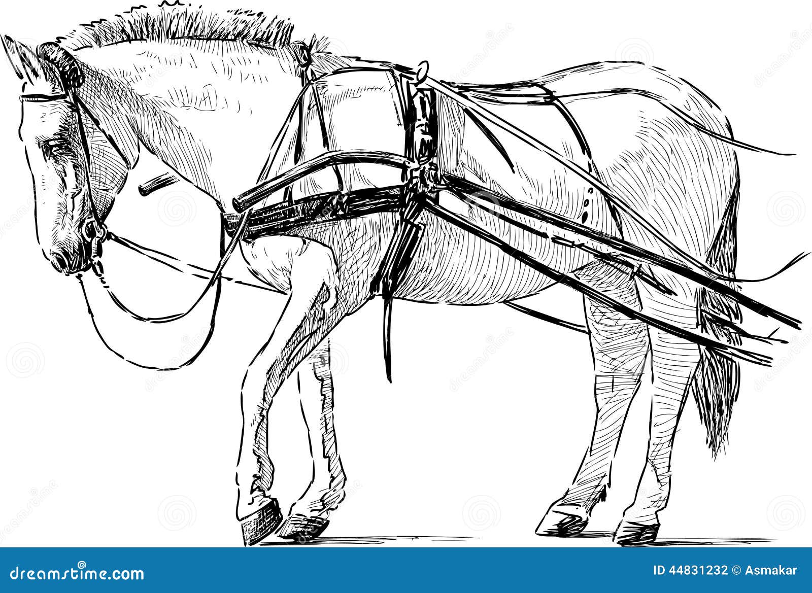 clipart horse with blinders - photo #31