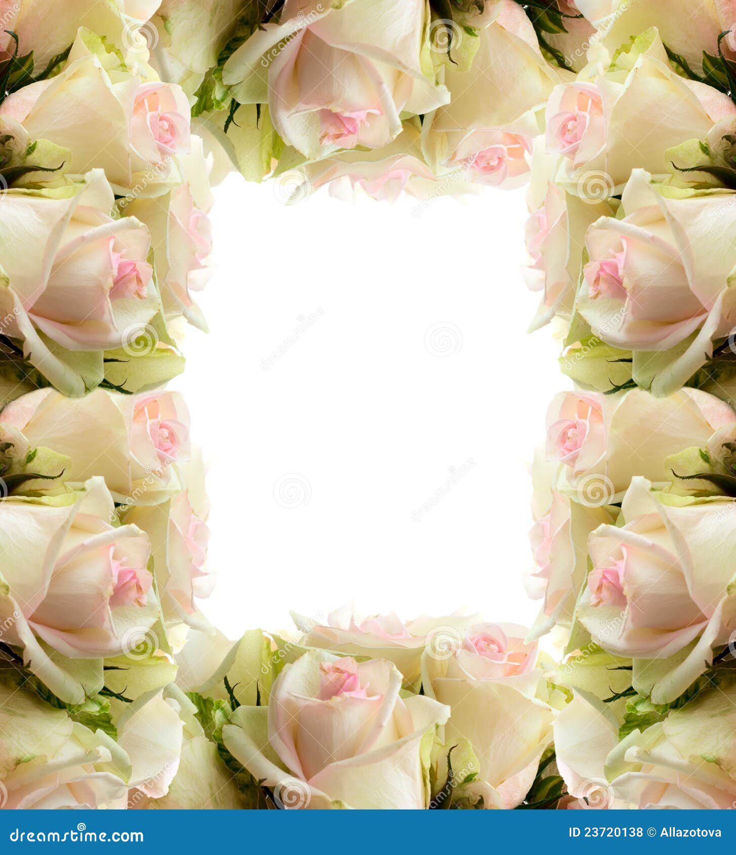 White Roses Frame Border Royalty Free Stock Photos - Image: 23720138